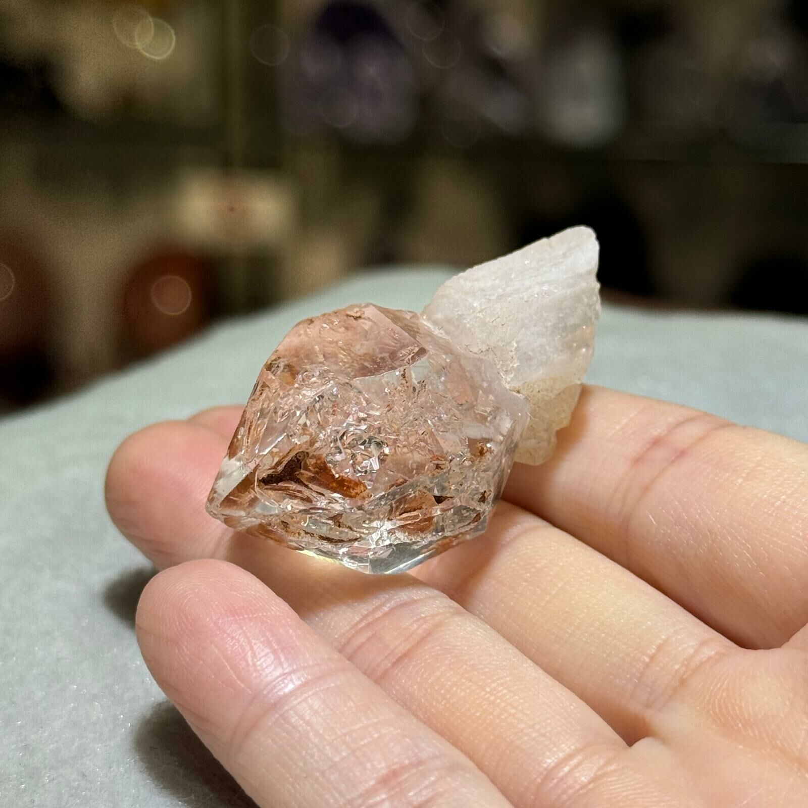 紅泥骸骨水晶 - 2