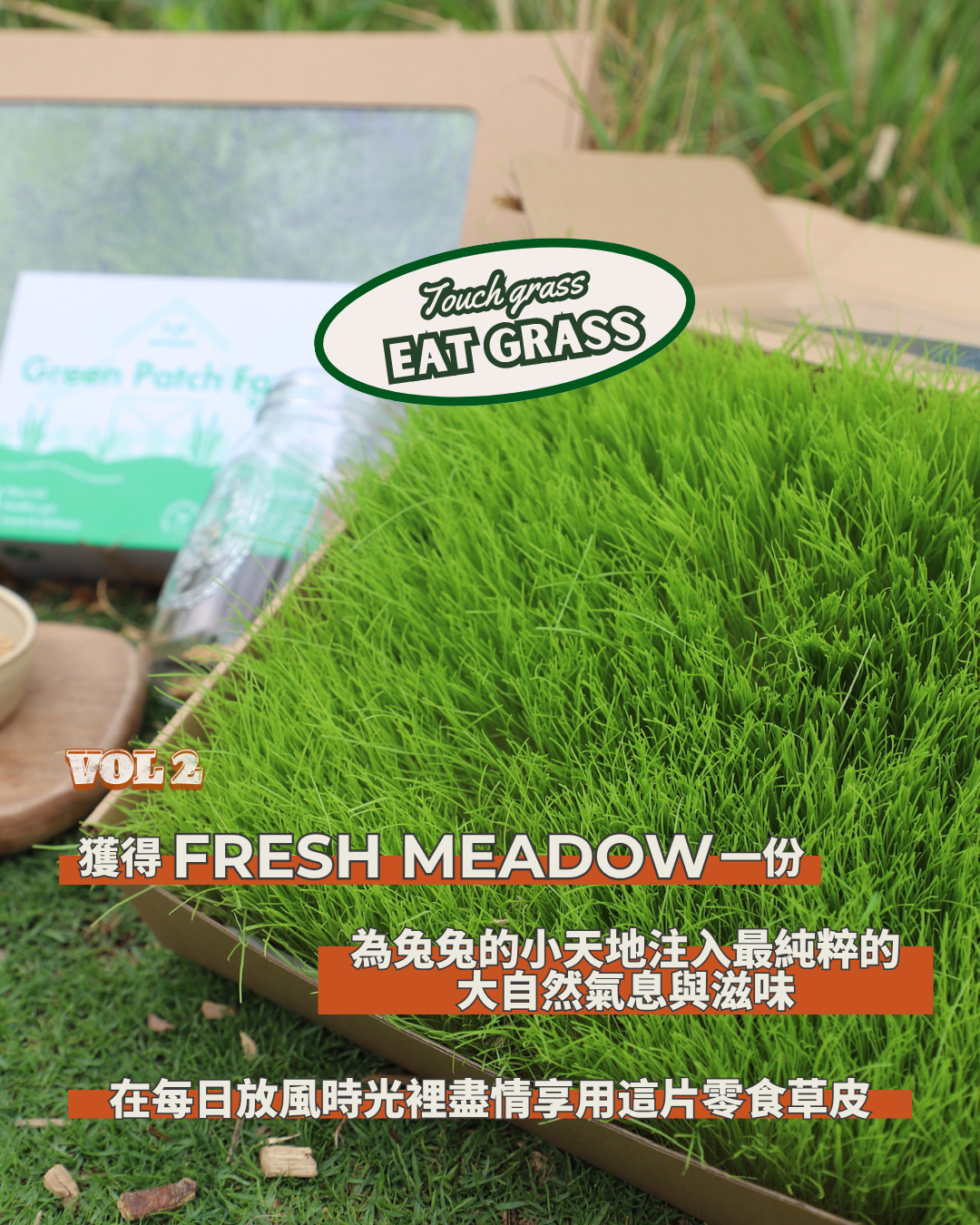 Green Patch x BunnyStyle 兔聚 02/05/2026