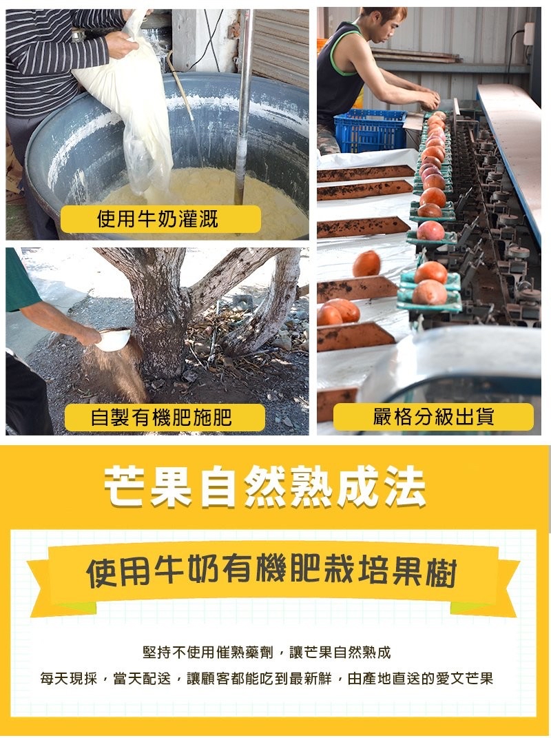 台彎直送 早鳥訂購 盧家愛文芒果乾(70g新包裝) 