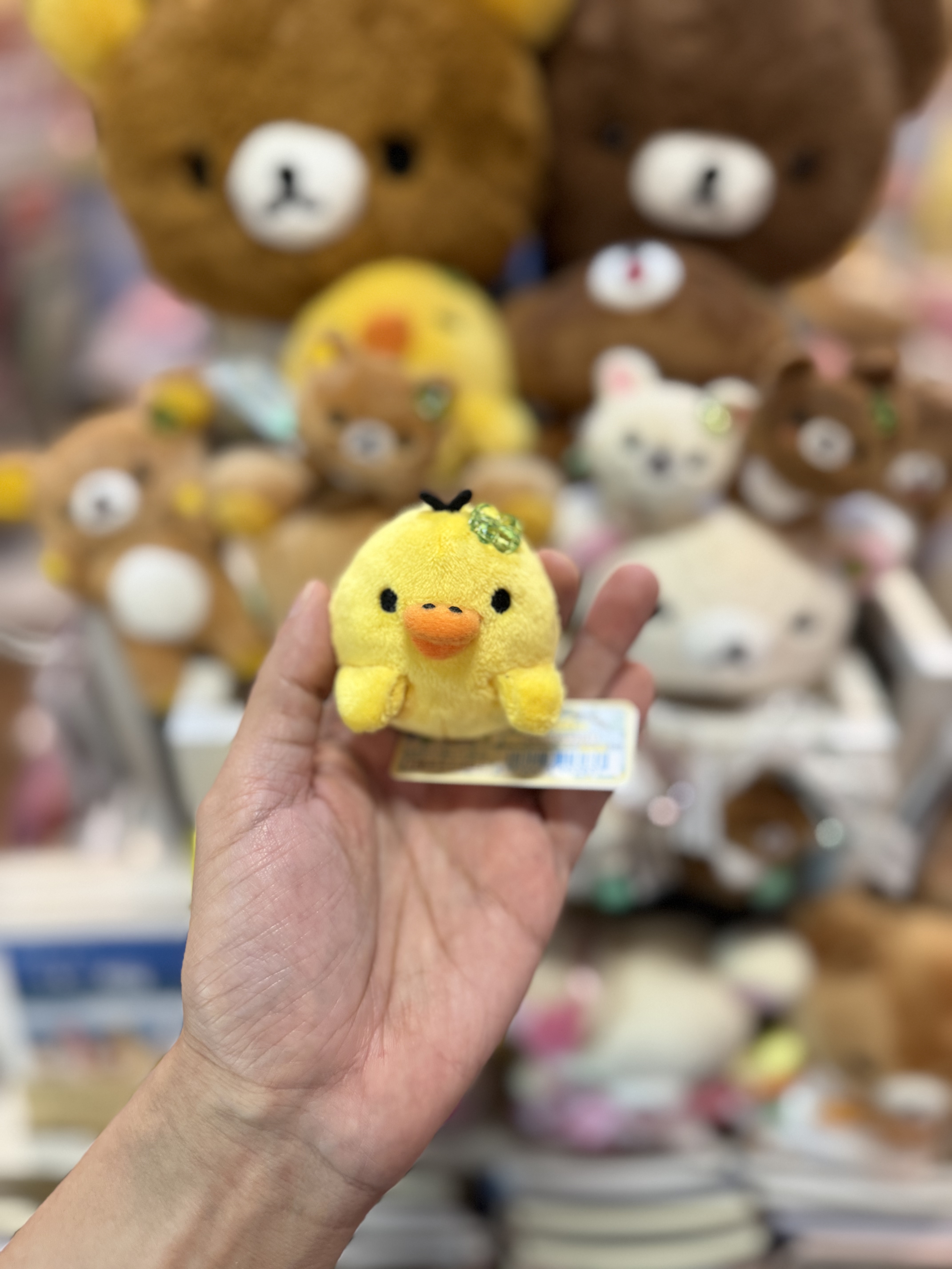 《現貨》全新小熊10週年紀念四葉草系列趴地手玉公仔