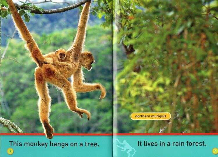 National Geographic Kids Pre-reader 國家地理分級讀物 預備級 兒童百科書｜20 books｜點讀版