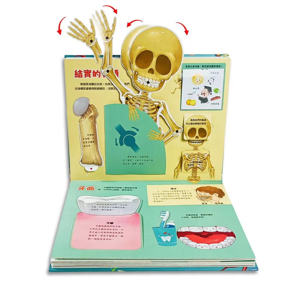 🔸預購貨品🔸身體不可思議的祕密：3D立體機關書