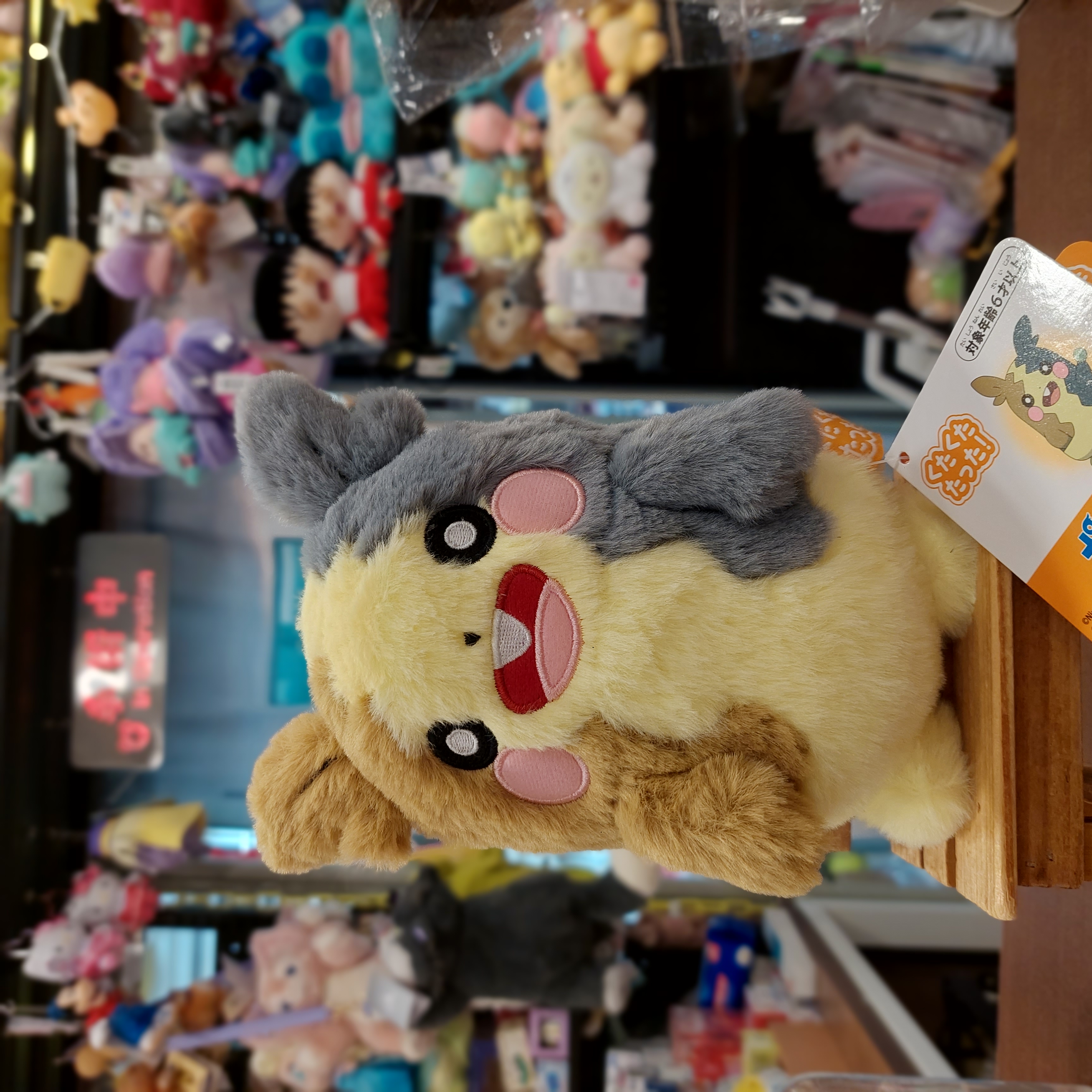 原裝日本 Pokemon Pikachu 比卡超 寶可夢 莫魯貝可 公仔
