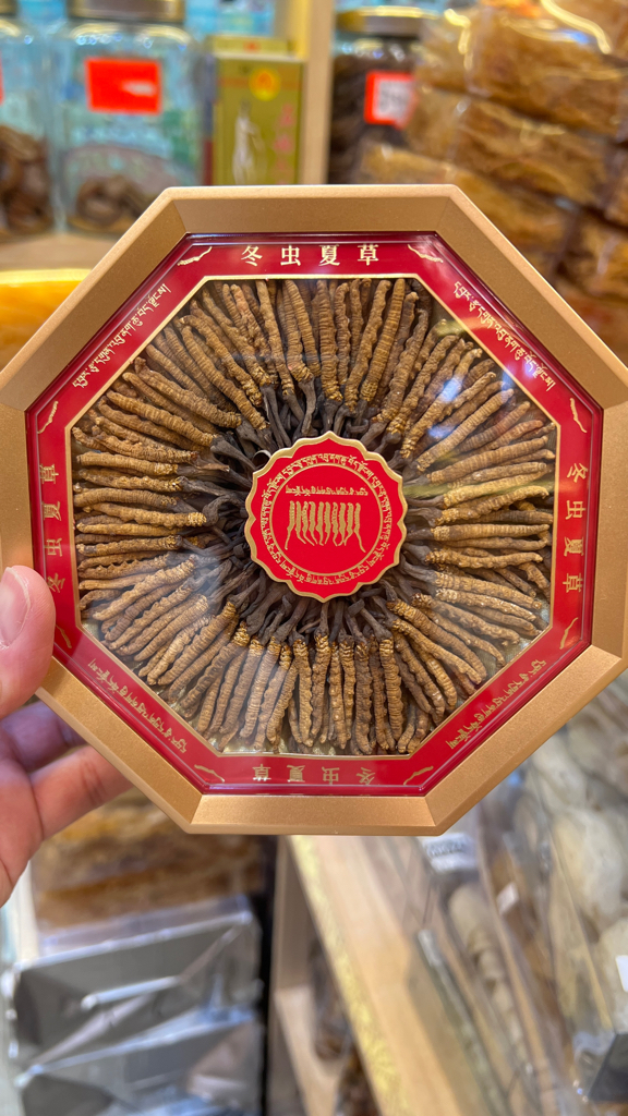 西藏野生那曲冬蟲夏草