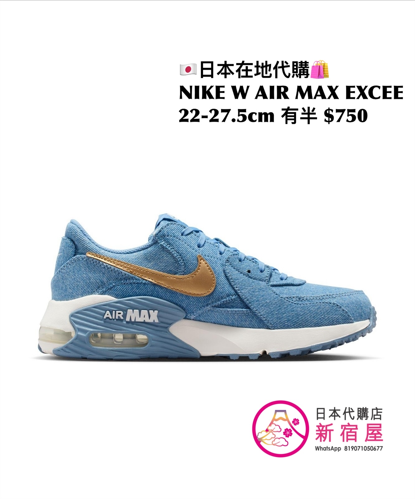 NIKE W AIR MAX EXCEE 