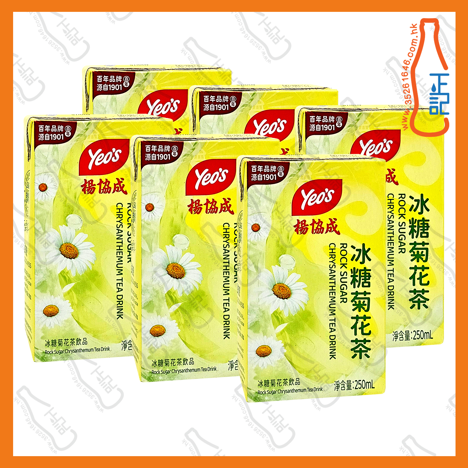 ==※試飲價※ (紙包) 楊協成 冰糖菊花茶 250ml x 6包 /排