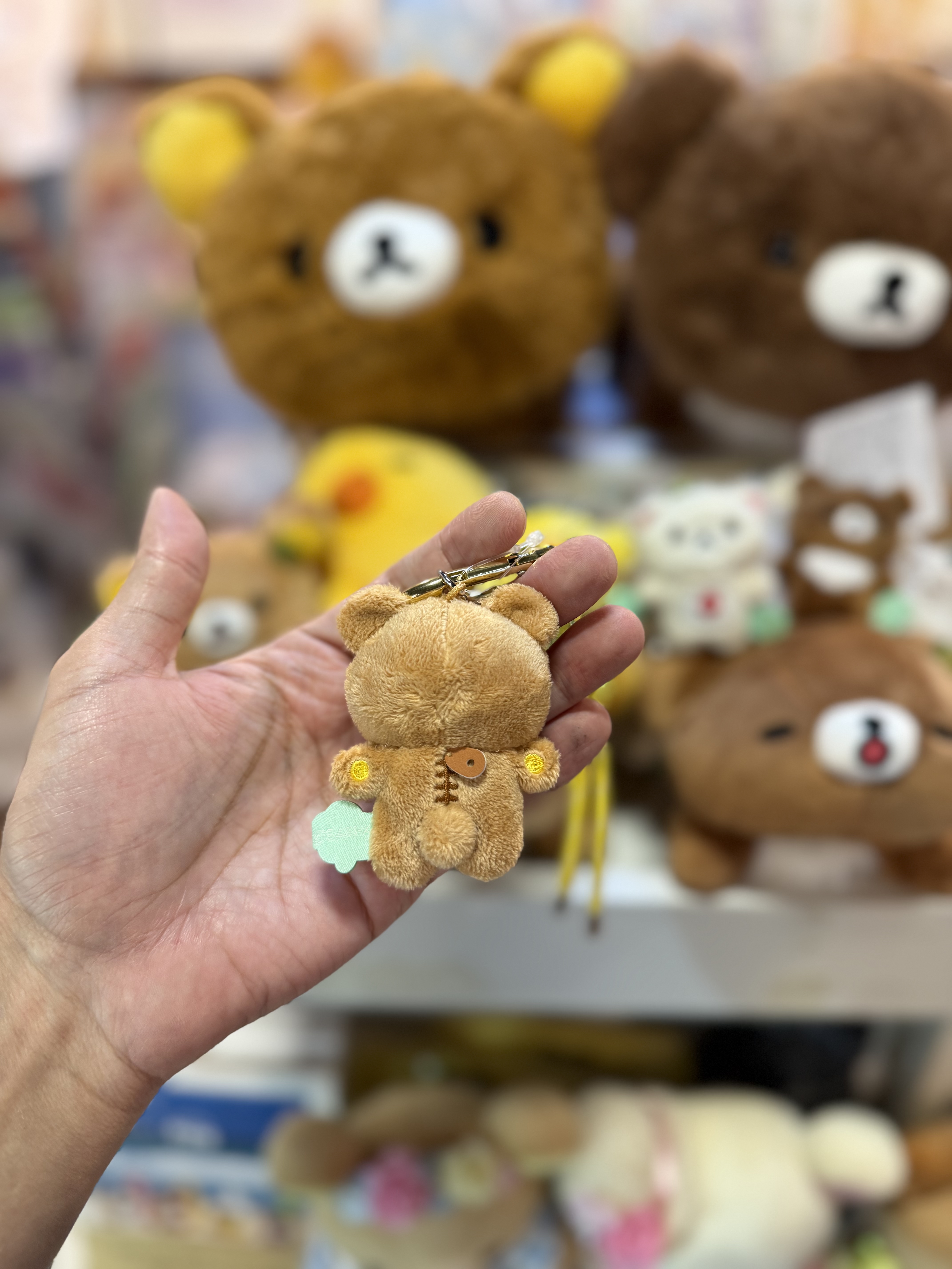 《現貨》全新小熊10週年紀念四葉草系列掛飾匙扣