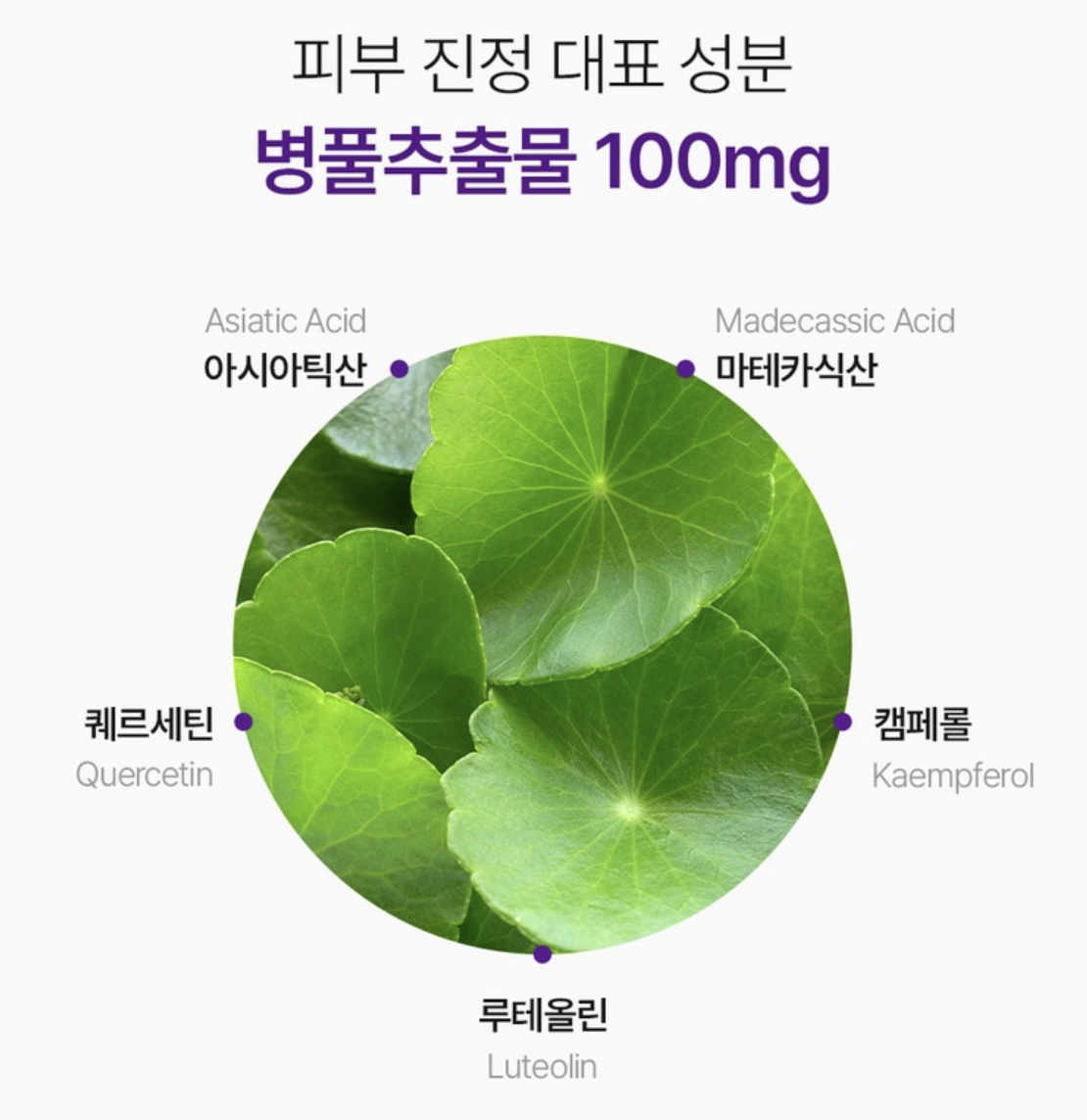 緊緻消腫｜韓國RE4DAY PDRN 膠原蛋白 女生 多效飲品 15條/盒 ｜ALL-IN-ONE WOMEN PLUS