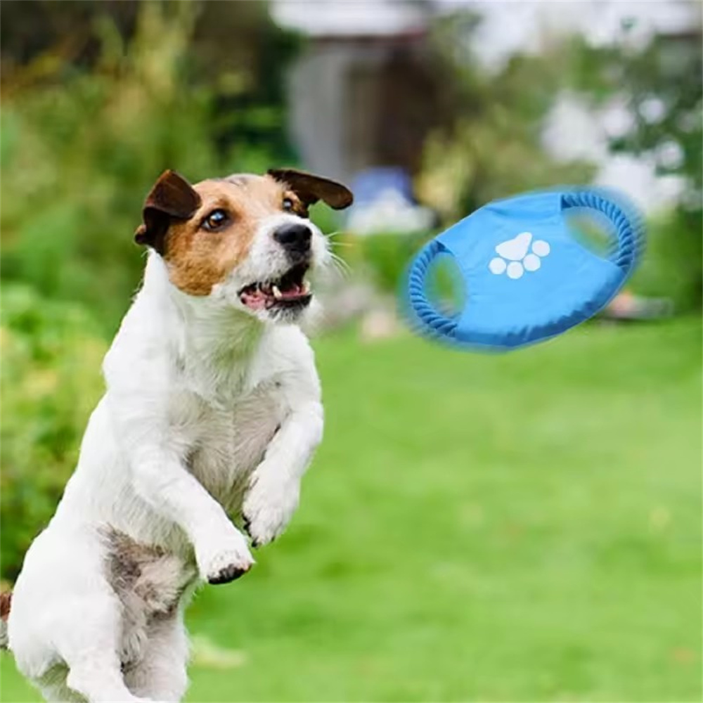 狗狗咬繩磨牙玩具 10件套 顏色款式隨機 UB0257