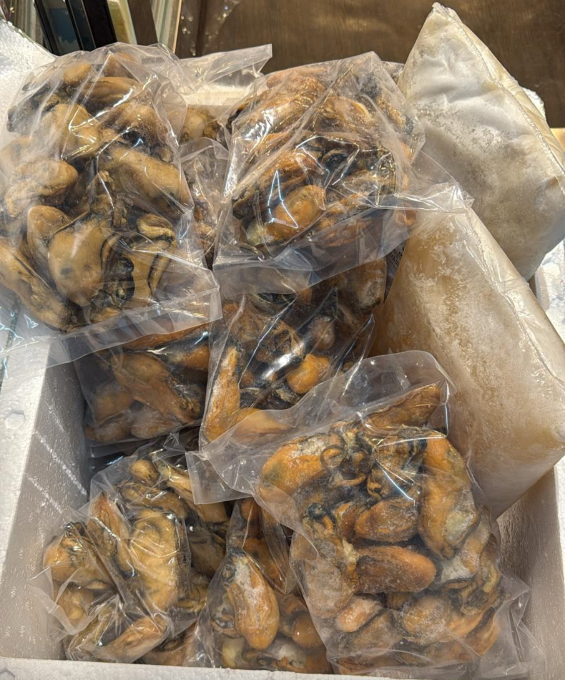 16-19頭生曬大大金蠔🦪