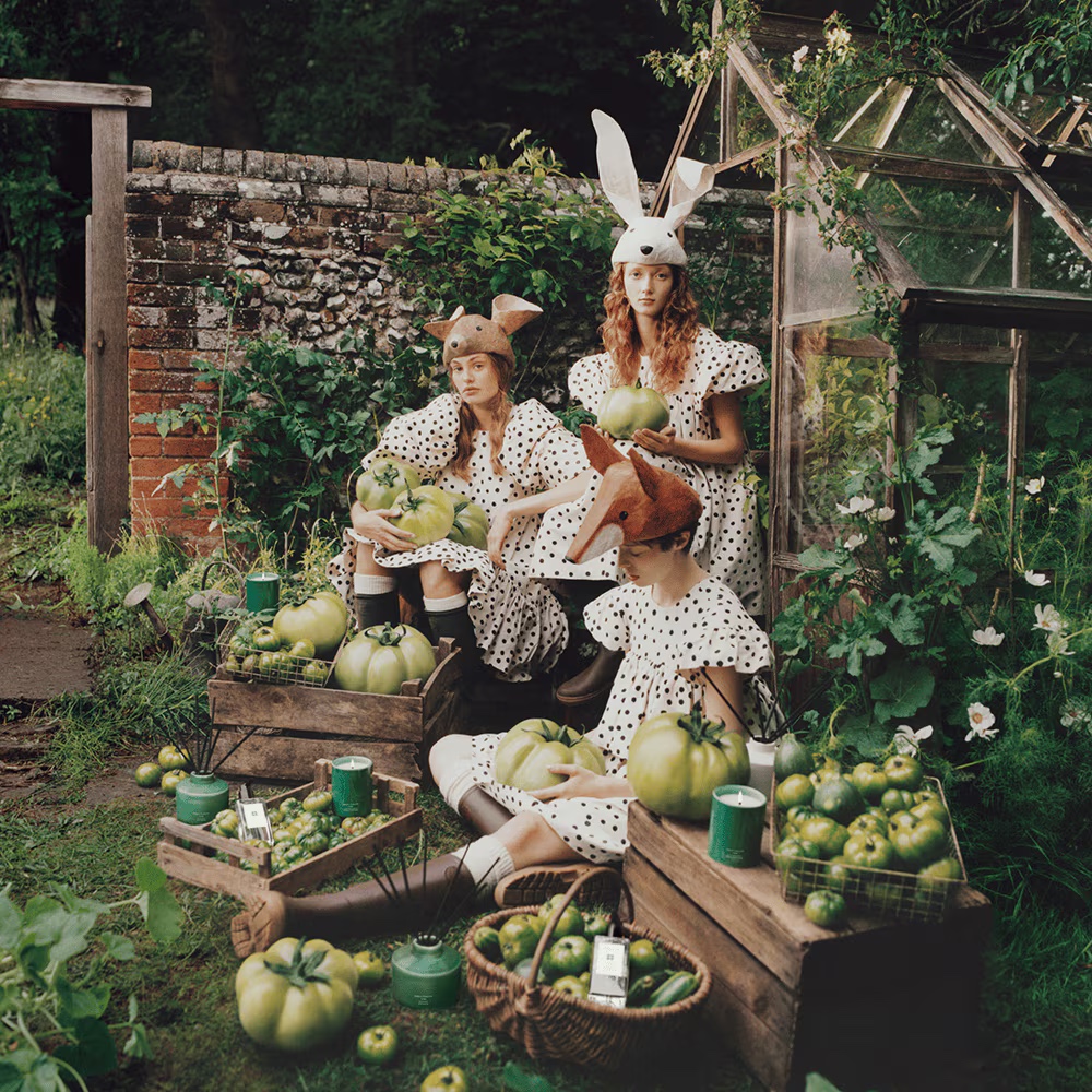 JO MALONE Green Tomato Vine Townhouse Diffuser - Veggies Edition 蕃茄藤蔓工藝藤枝擴香組 350ml (英倫蔬果園限定版)
