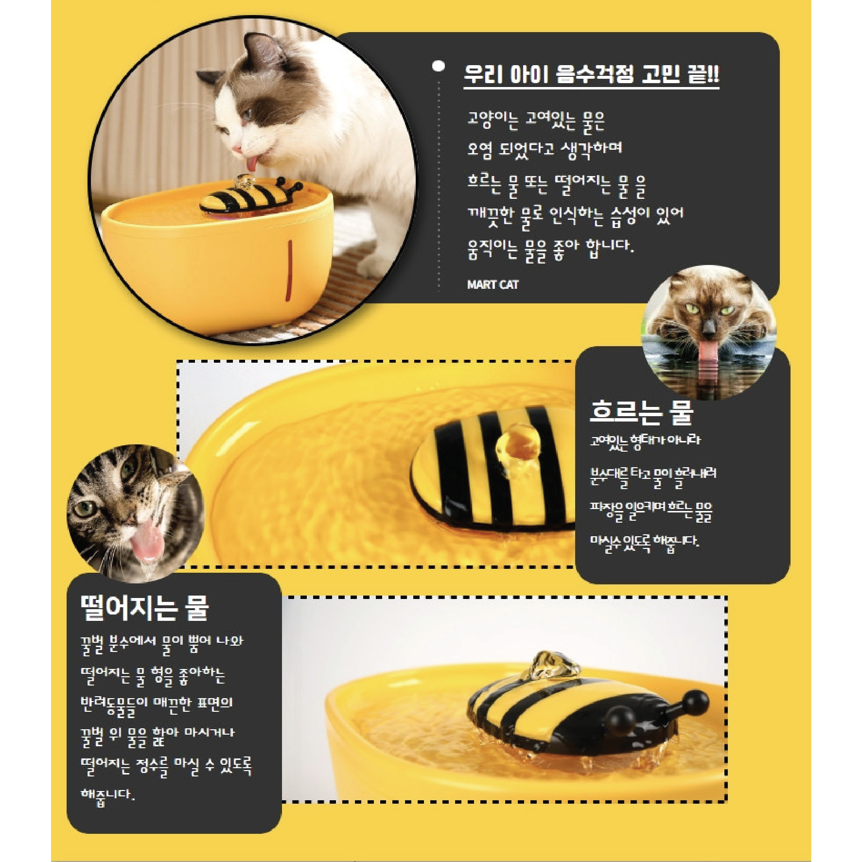 寵物自動循環飲水機