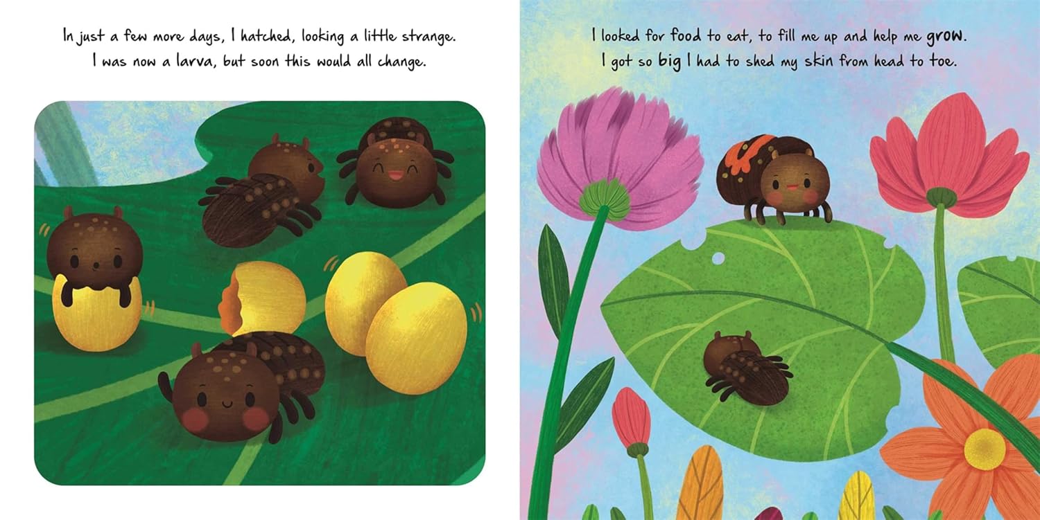 Igloo Books - Nature Stories - Little Ladybird
