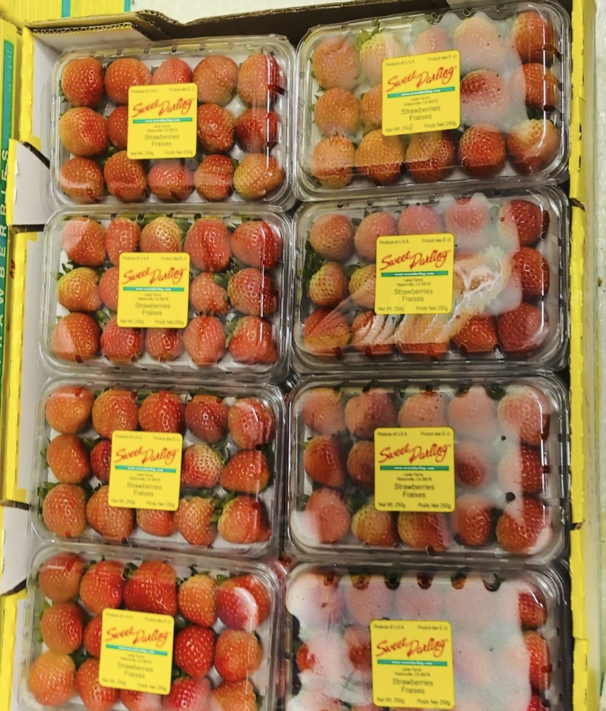 美國🇺🇸士多啤梨🍓(250g/盒) $80/2盒