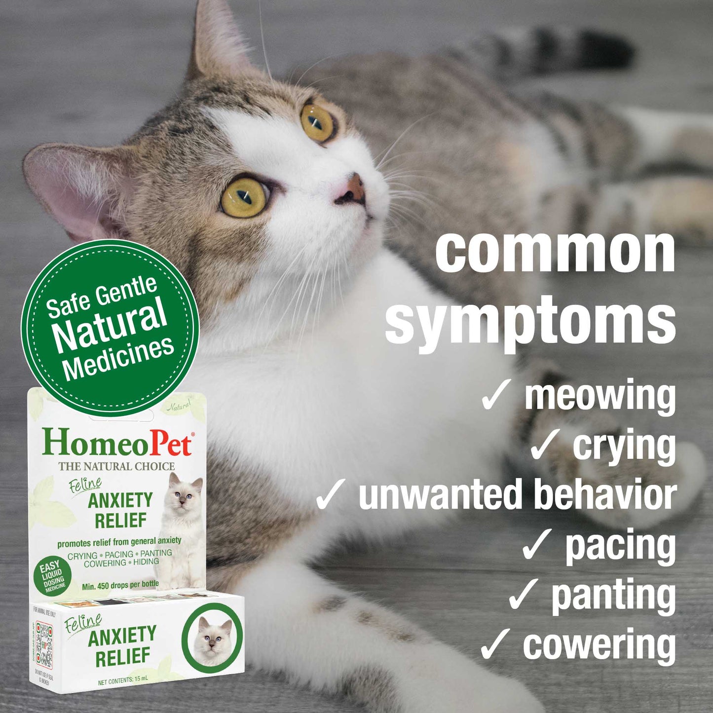 美國 HomeoPet Feline Anxiety Relief for Cats 貓用天然緩解焦慮滴劑 15ml
