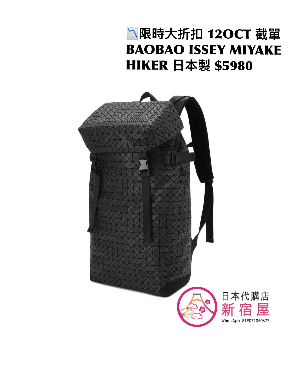 BAOBAO ISSEY MIYAKE HIKER