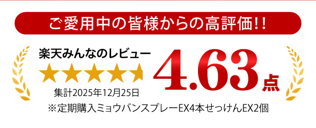 Dr.Deodorant <藥用明礬 >止汗噴霧 EX（日本製）