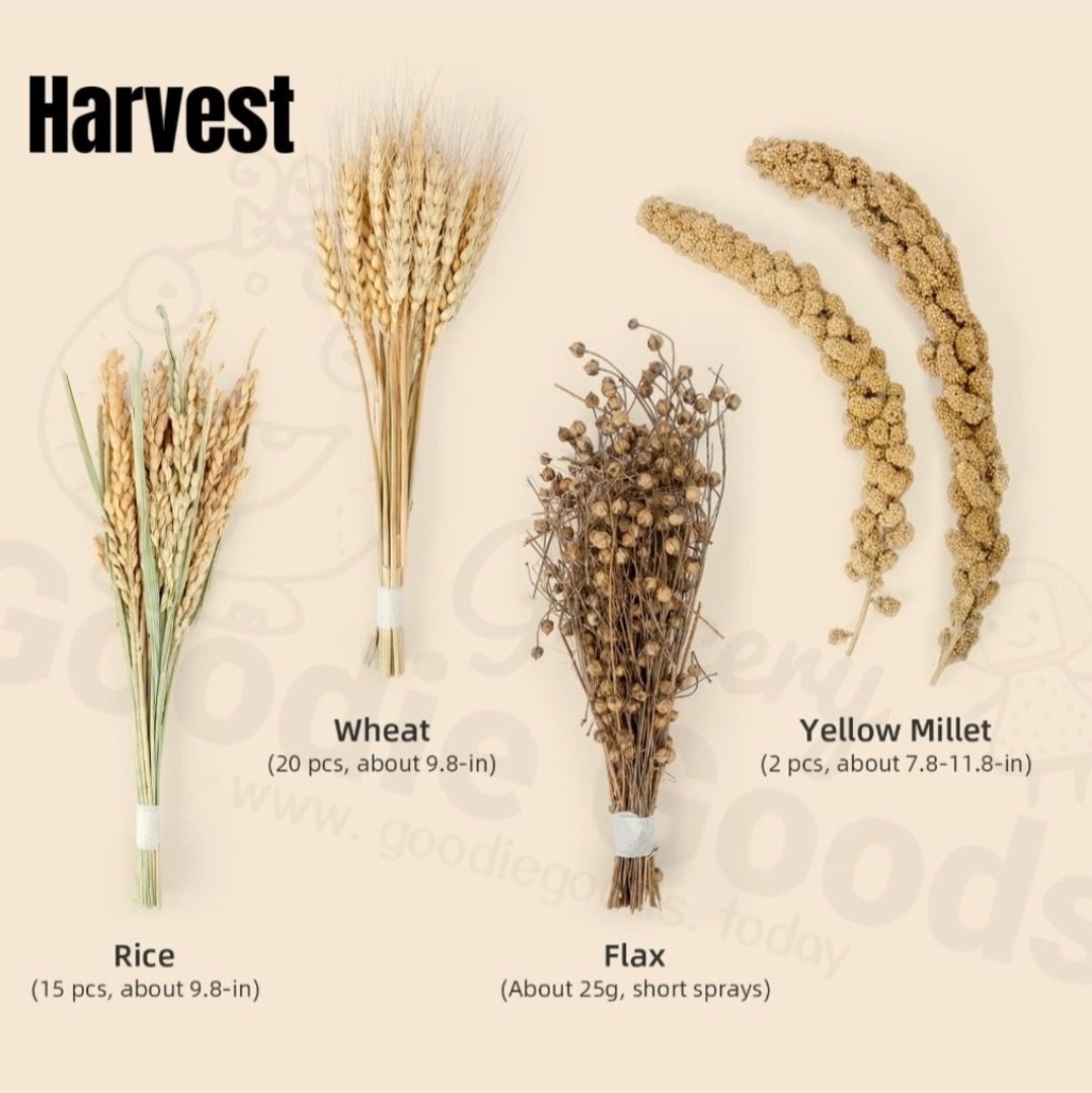天然柔軟倉鼠寢具伴侶小動物棲息地裝飾適合敘利亞矮倉鼠沙鼠小鼠八齒鼠兔子或其他小型寵物