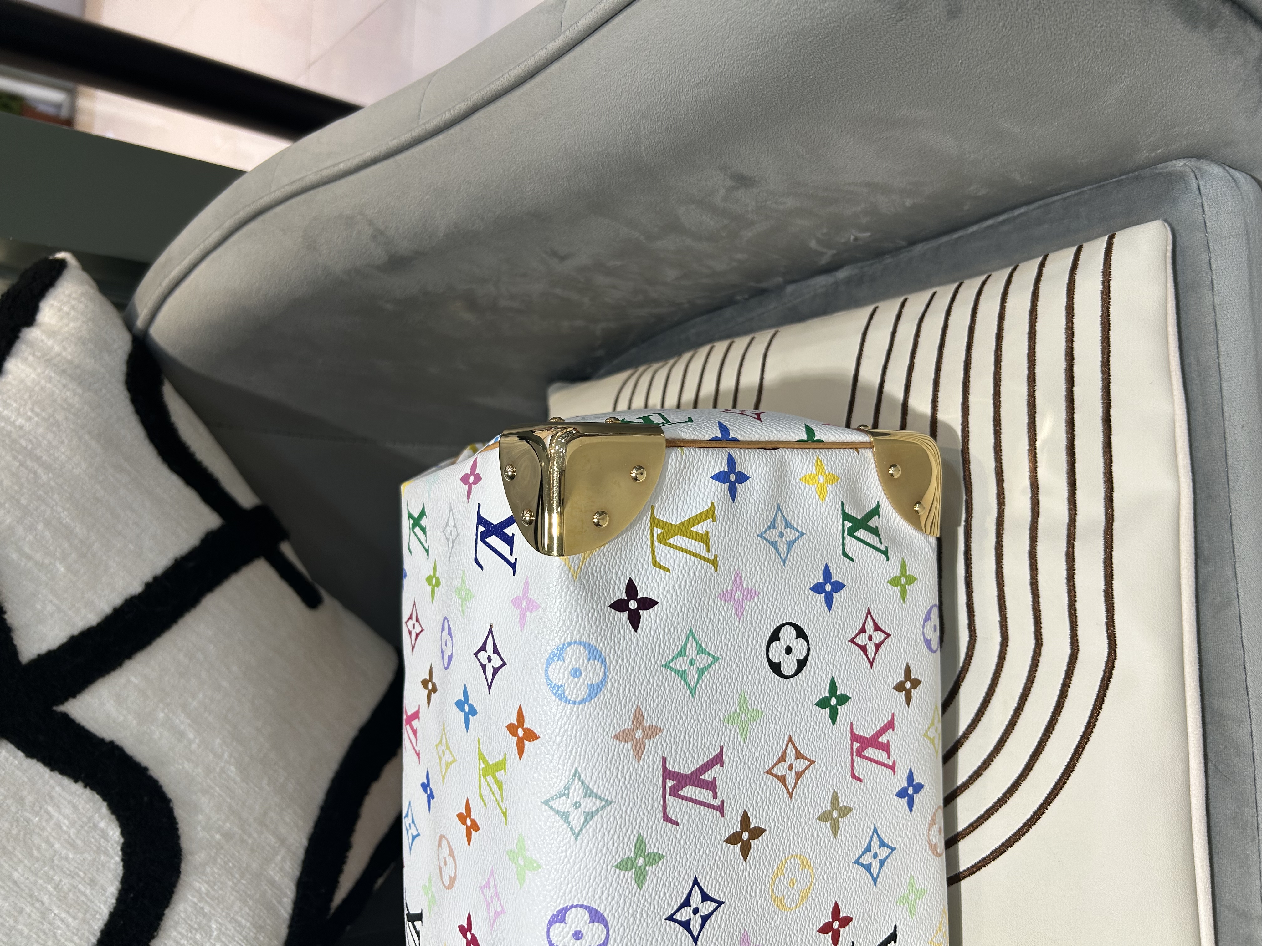 LV Speedy 30 村上隆白彩花