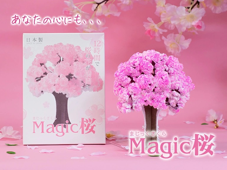 日本 KOKUBO Magic Sakura 魔法櫻花