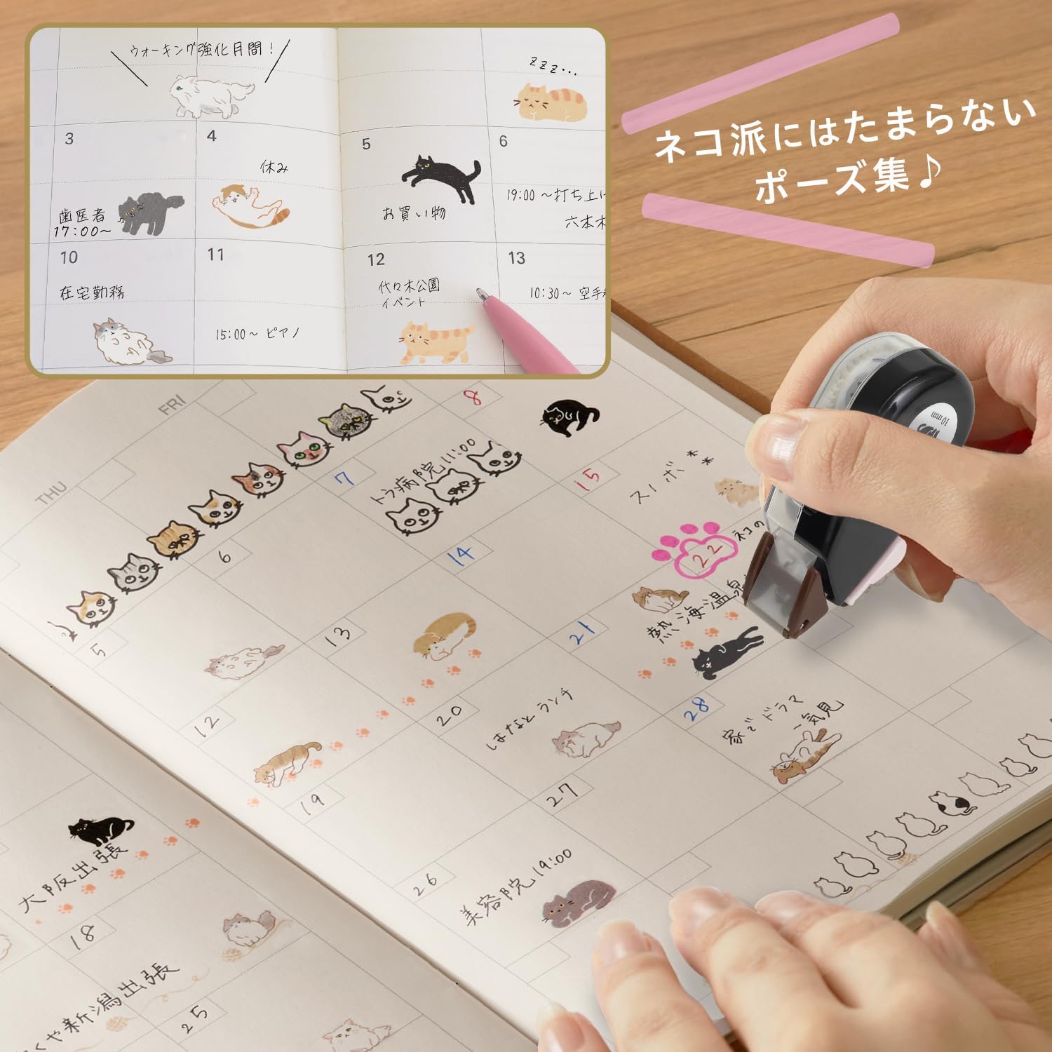 現貨｜PLUS Neco Rush 貓貓 日版 手帳裝飾膠帶 Decoration Tape (黑貓 91-565)