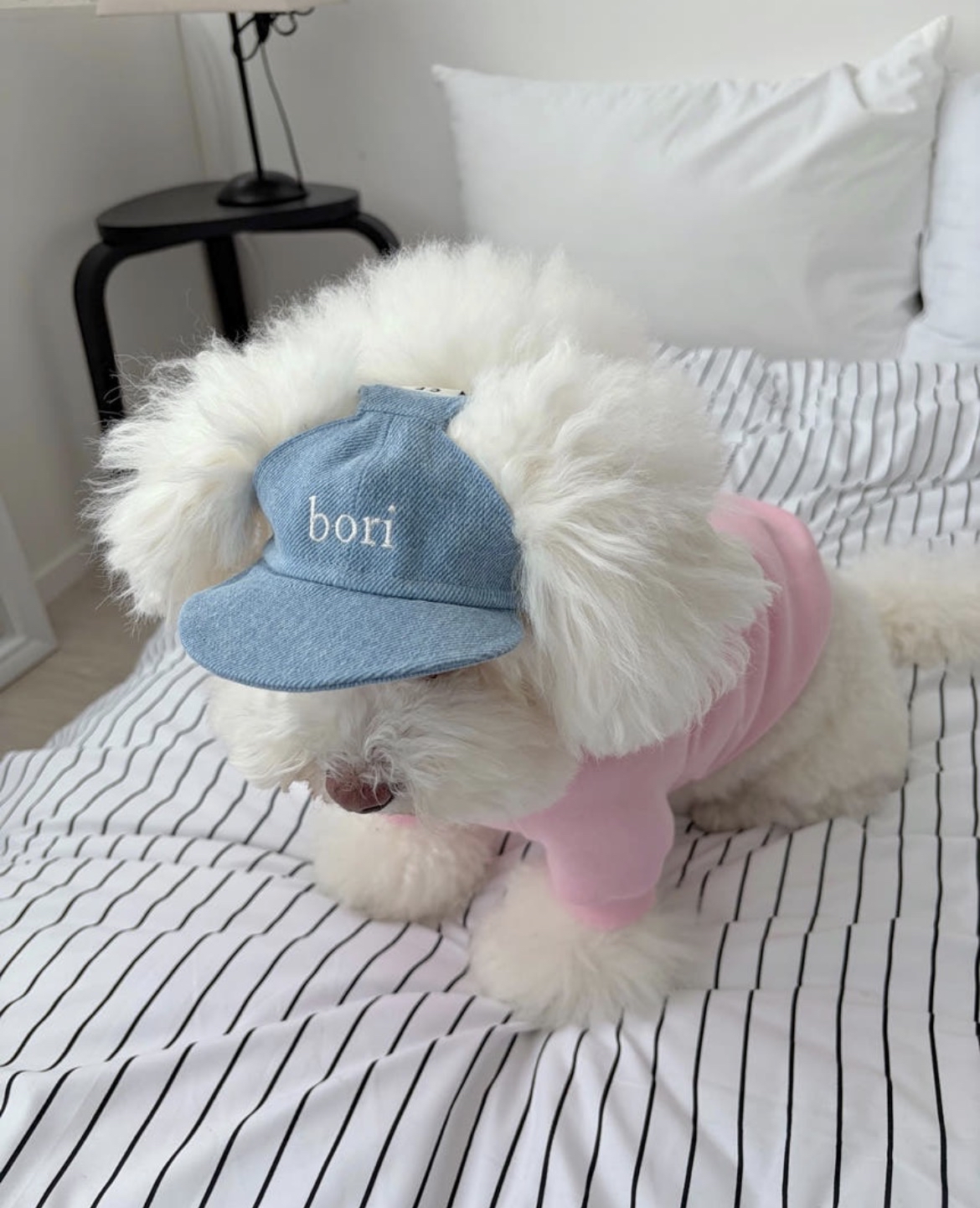 韓國🇰🇷 Confetti Naming Ball Cap