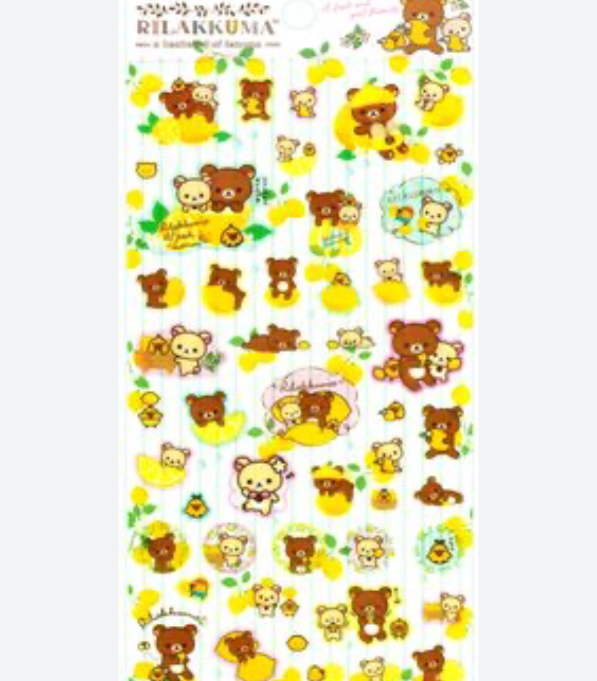 鬆弛熊 貼紙｜特價品滿$300包順豐門市自取