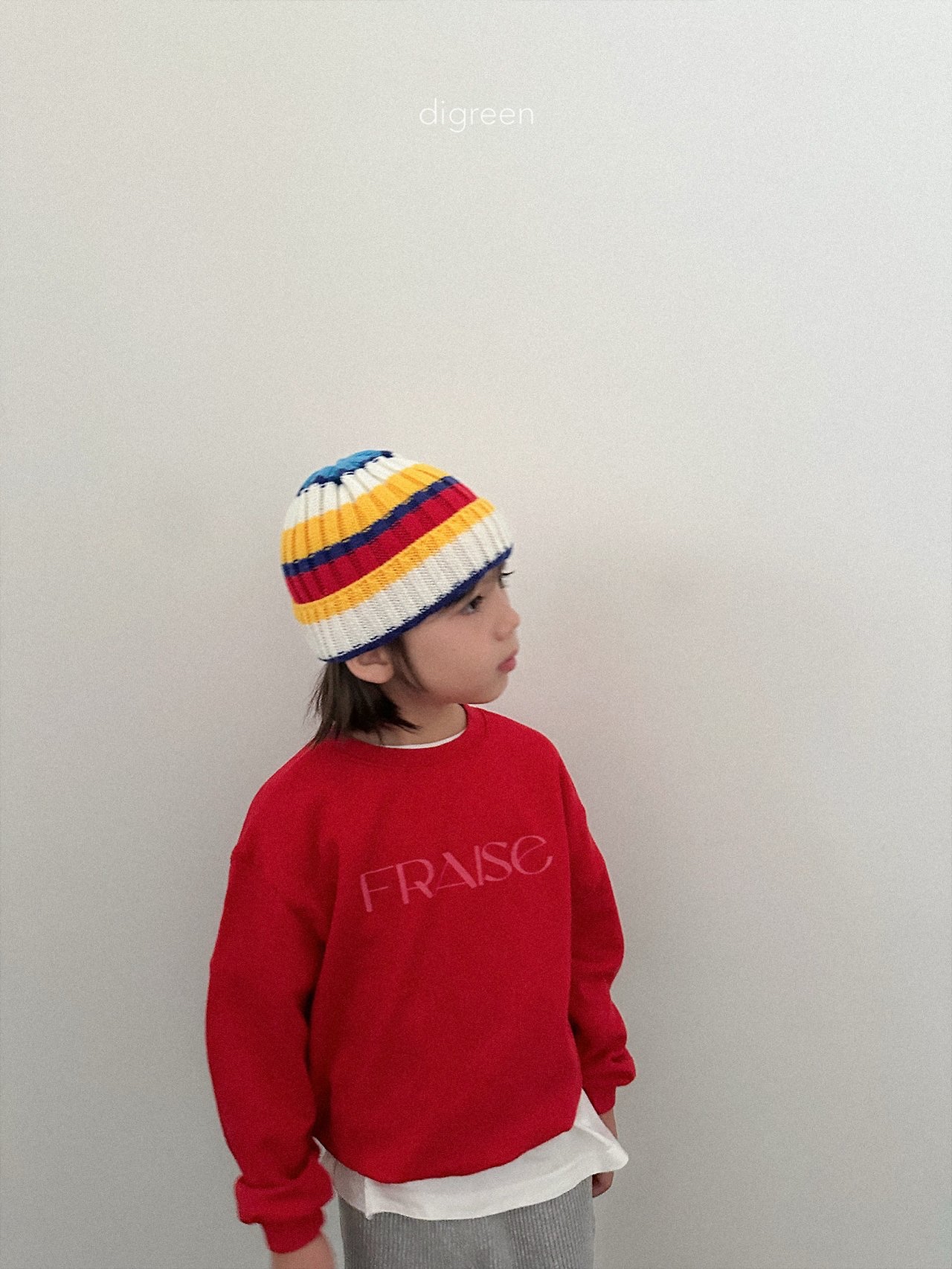 Digreen | multi beanie 
