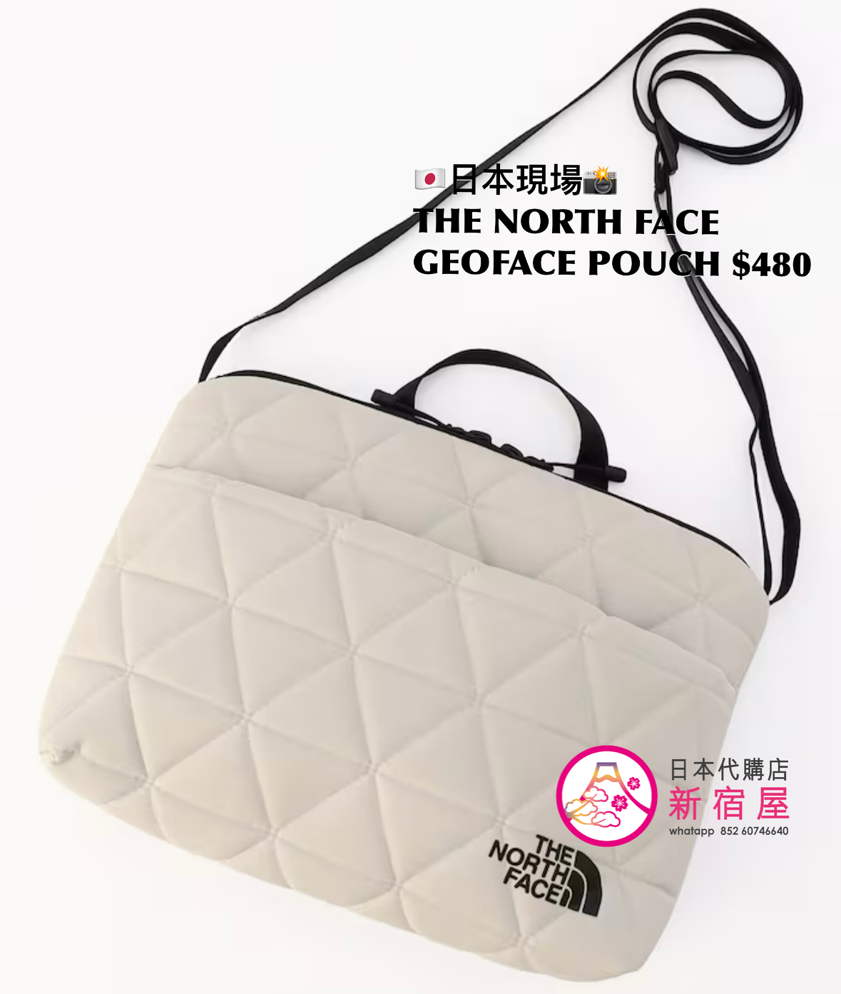 THE NORTH FACE GEOFACE POUCH