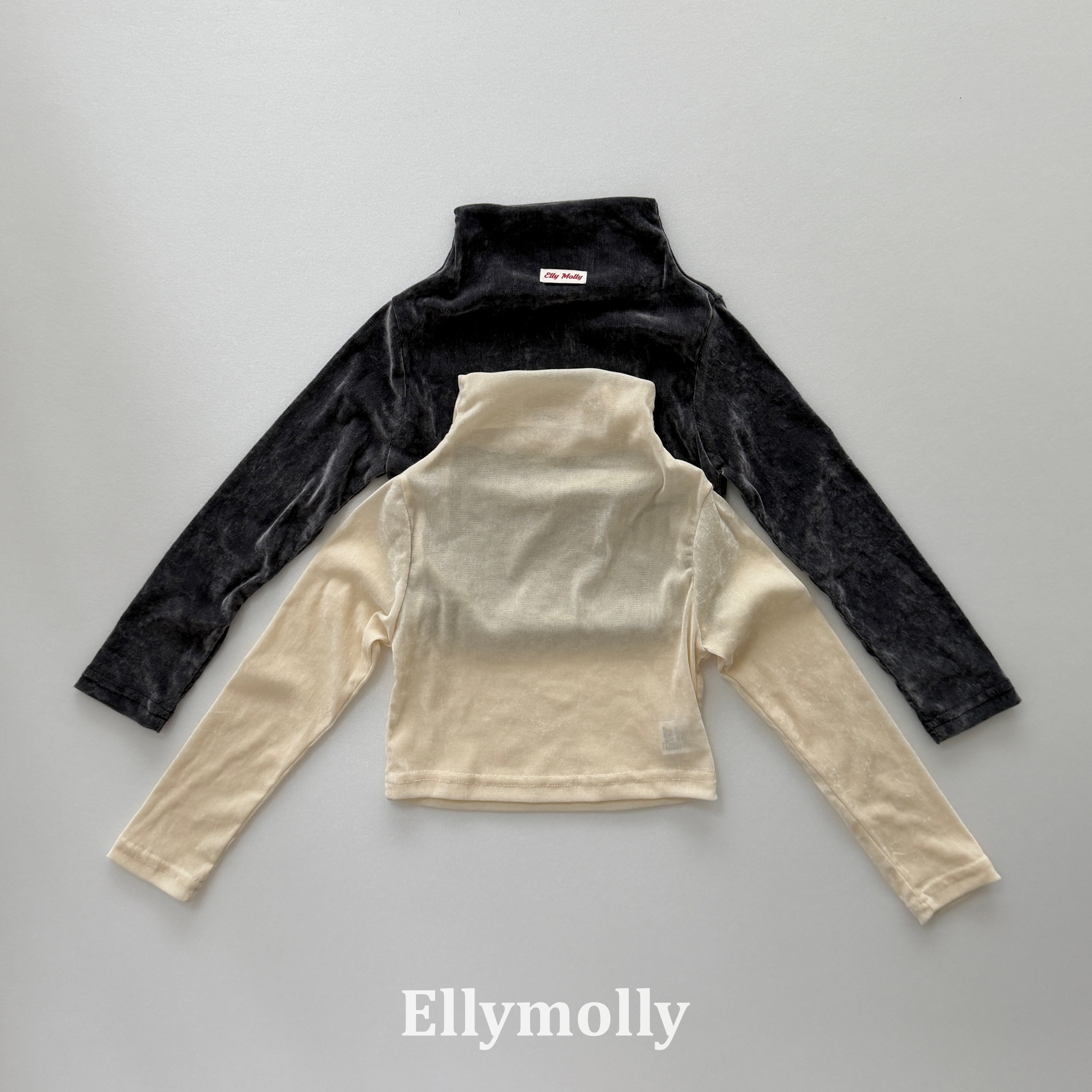 Ellymolly | Velvet Mesh Mock Turtleneck