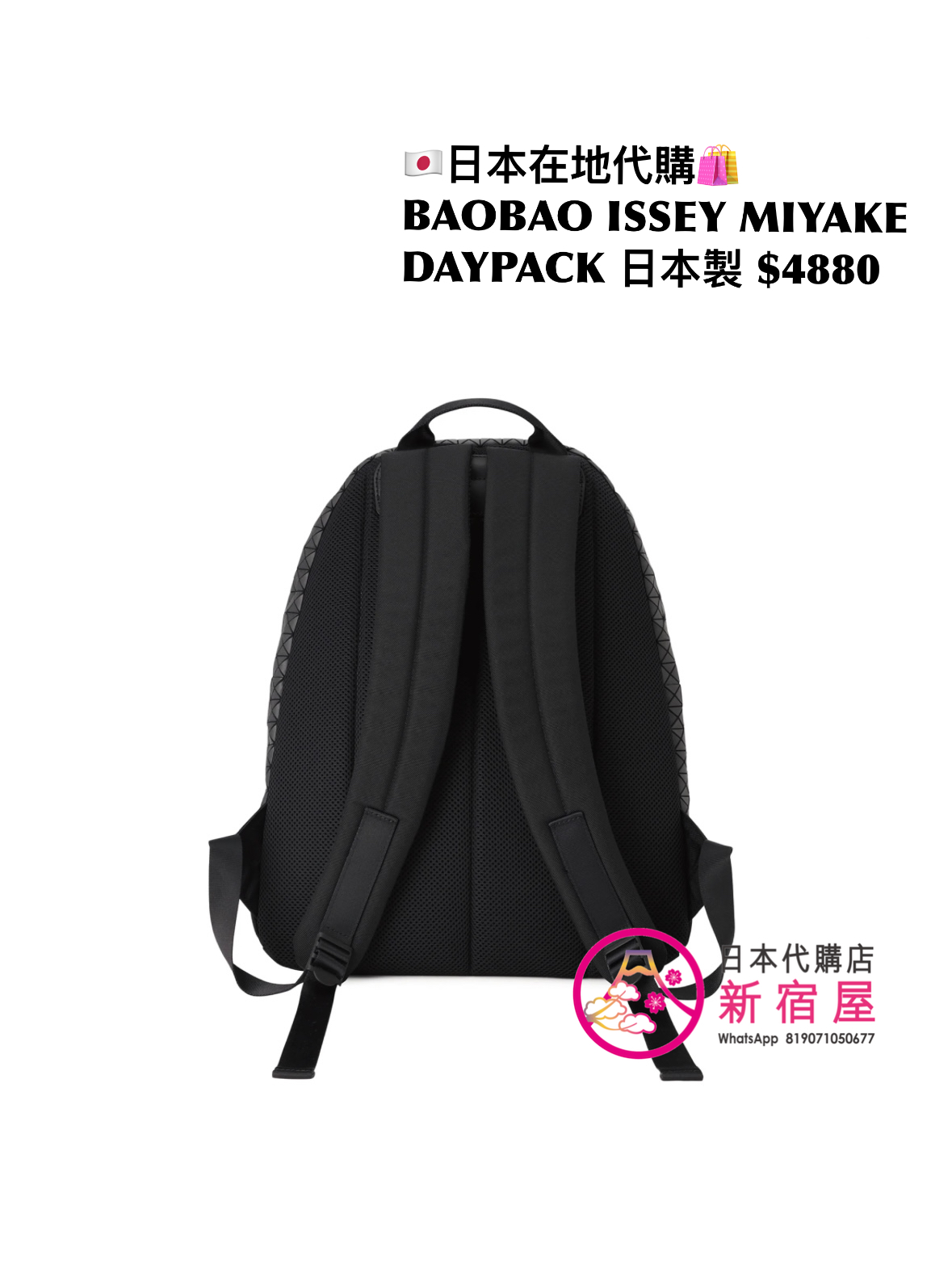 BAOBAO ISSEY MIYAKE DAYPACK