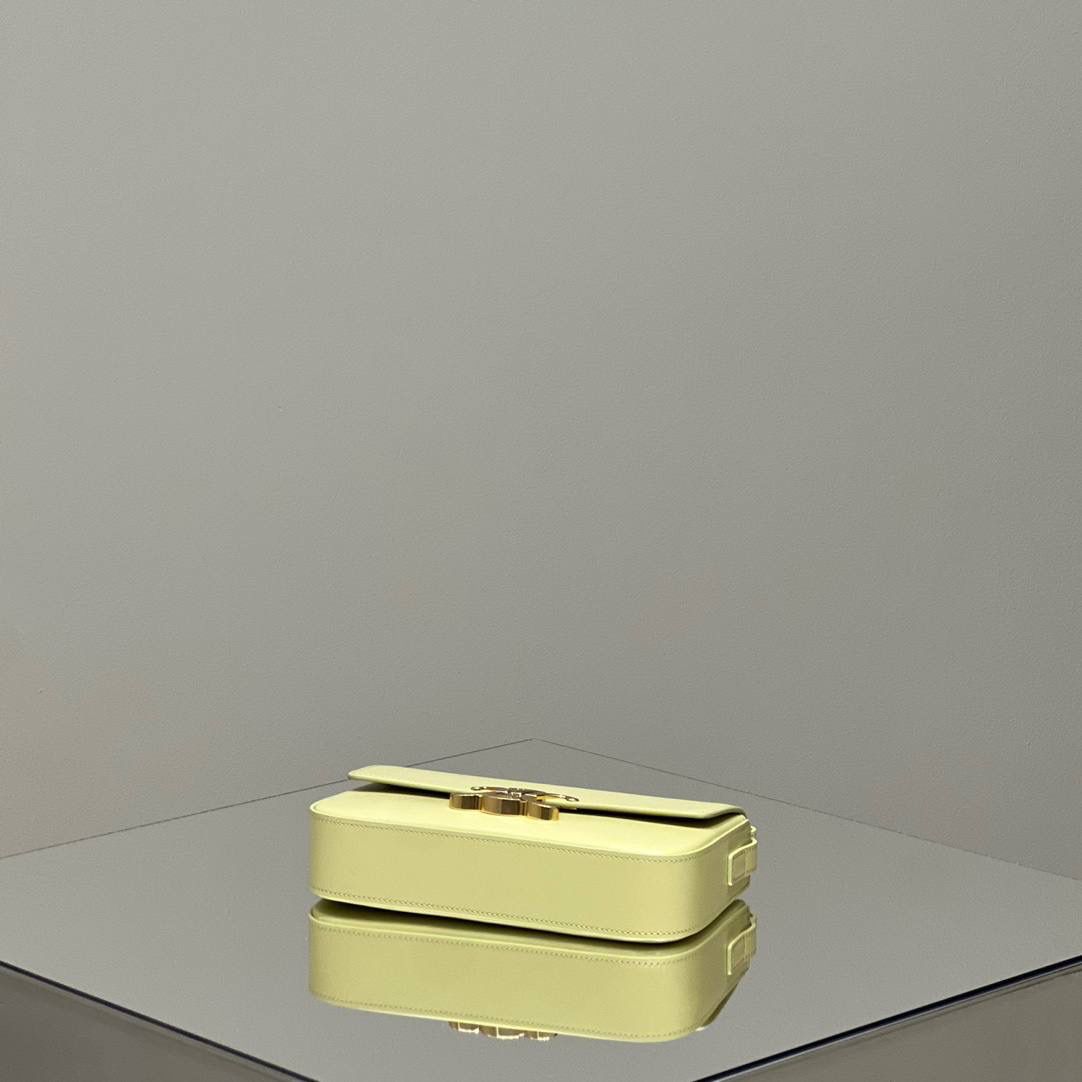 🔥大货实拍图 𝗖𝗘𝗟𝗜𝗡𝗘 ♥ 𝗧𝗥𝗜𝗢𝗠𝗣𝗛𝗘 𝗦𝗛𝗢𝗨𝗟𝗗𝗘𝗥 𝗕𝗔𝗚 型号：194143 尺寸：20*10*4cm