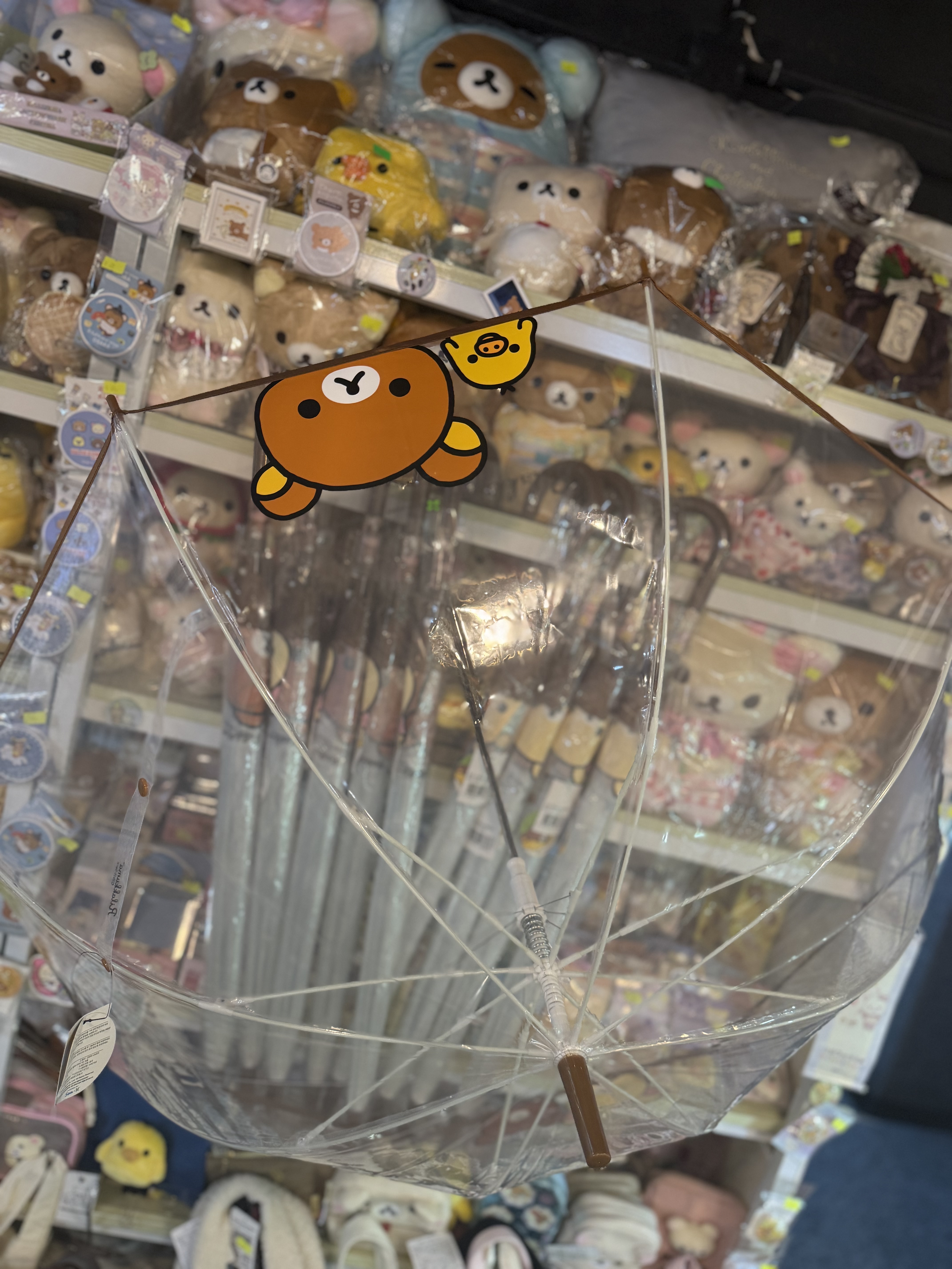 《現貨》全新Rilakkuma韓國專店限定 長身透明遮