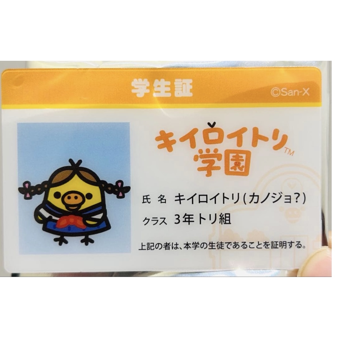 鬆弛熊 收藏卡｜現貨