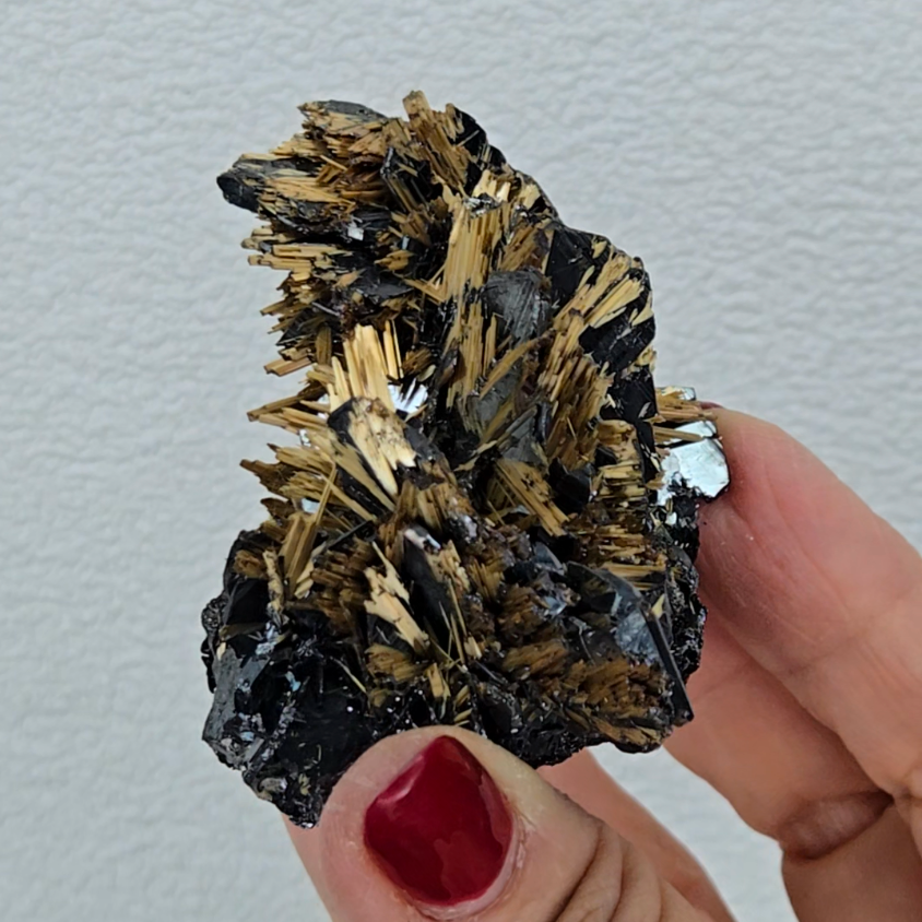 Golden exposed starburst rutiles on black hematite - RT288