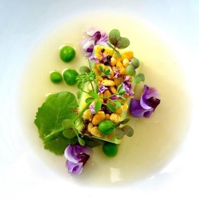 💧荷蘭 微型蔬菜 Holland Koppert Cress Shiso Mix Microgreens