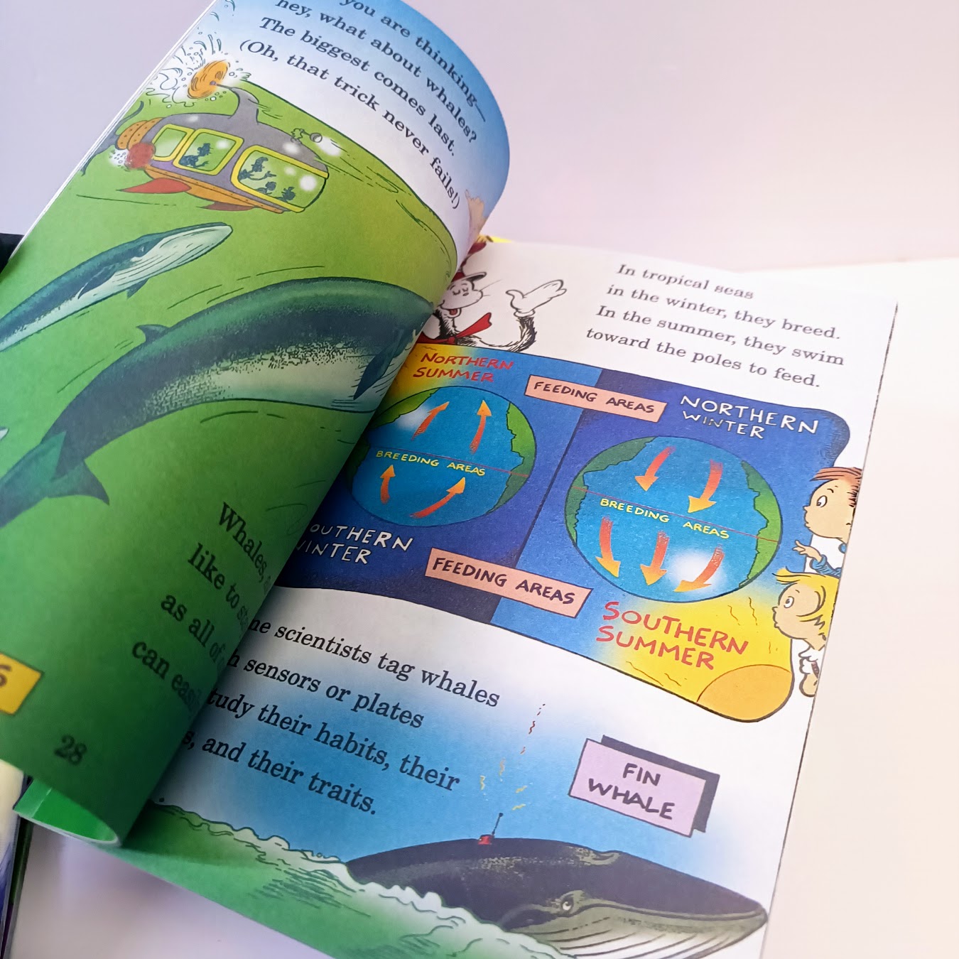 Dr seuss science The cat in the Hat's Learning Library  33 books collections |    33本 蘇斯博士科學繪本戴帽子的貓科普圖書館    B371