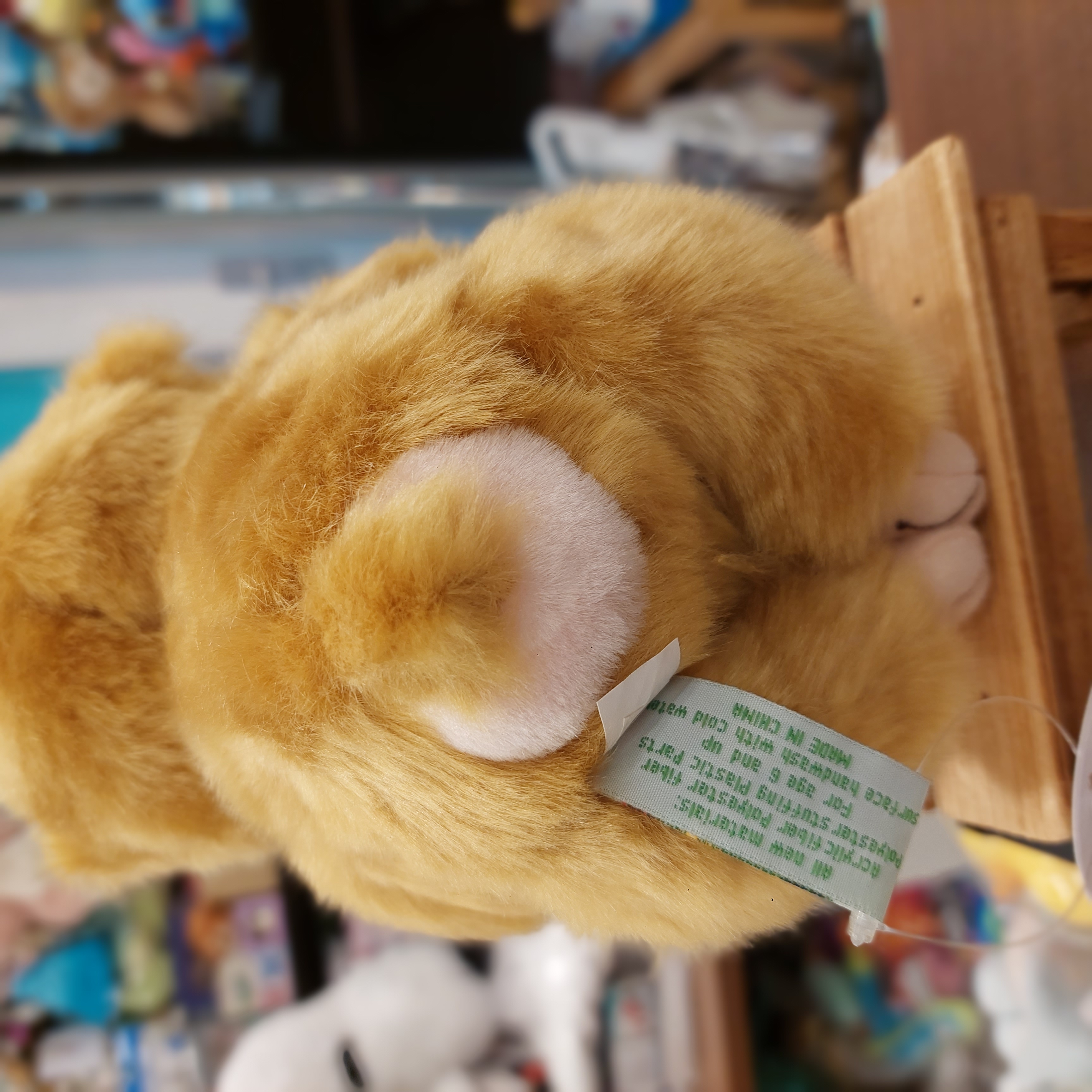 市川動物園限定 人气馬騮仔"パンチくん  Panchi君 M號小公仔  全高約21cm