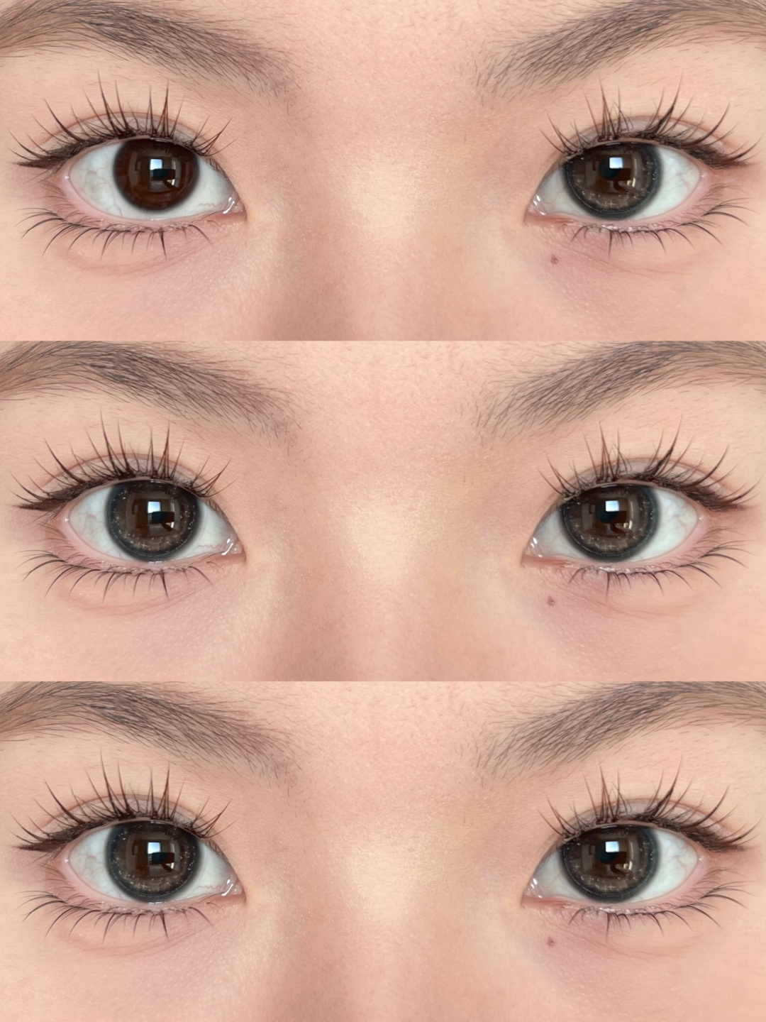 Fullygift 日拋 月相懸浮光/螢火懸鈴目