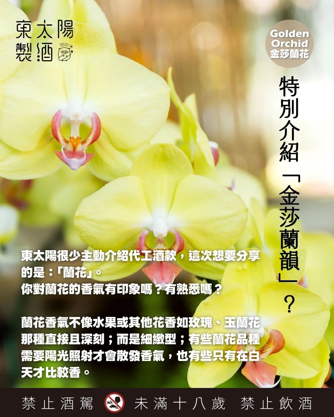 Golden Orchid Melody ⾦莎・蘭韻 Phalaenopsis Orchid & Pear Liqueur (金莎蘭⽔梨利口酒)
