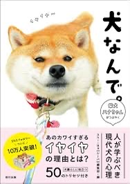 柴犬寫真 21303