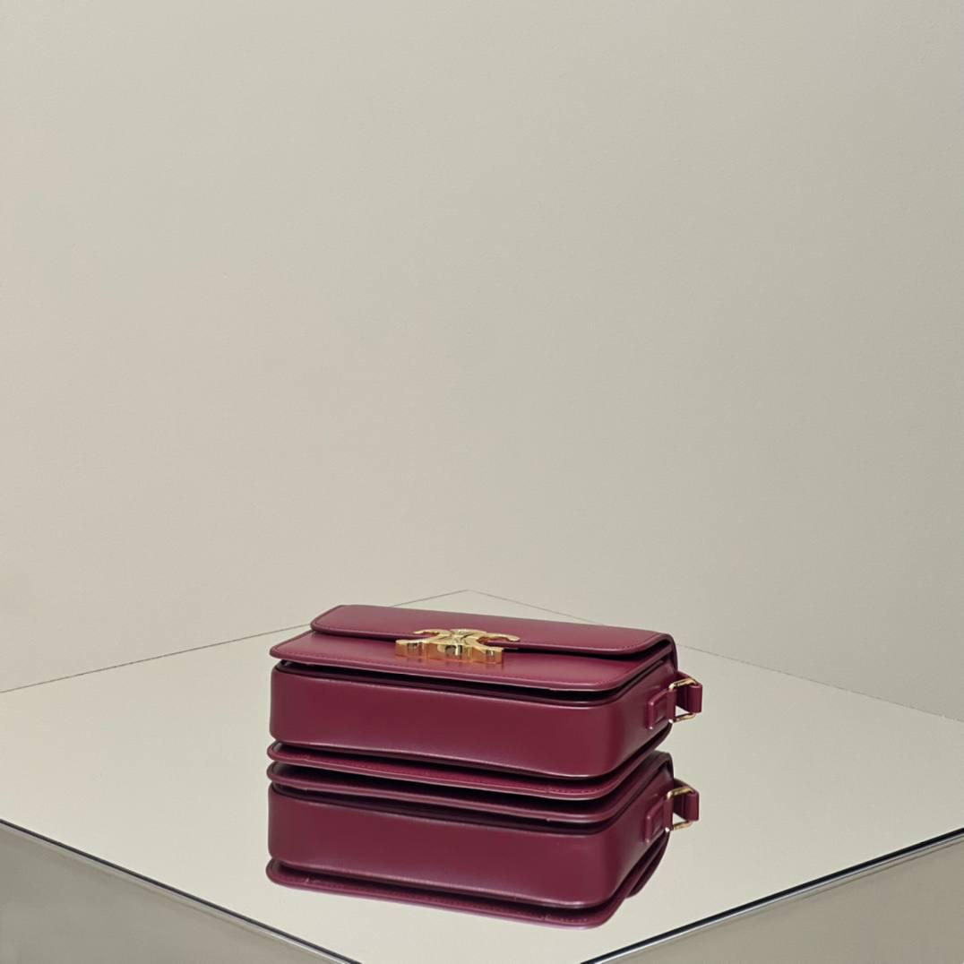 🔥大货实拍图 𝗖𝗘𝗟𝗜𝗡𝗘 ♥ 𝗧𝗘𝗘𝗡 𝗧𝗥𝗜𝗢𝗠𝗣𝗛𝗘 型号：188423 中号尺寸：22.5*16*7cm 小号尺寸：18.5*14*6cm