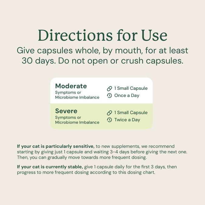 AnimalBiome : Gut Restore for Cats [最新存貨情況請參閱下列商品介紹]