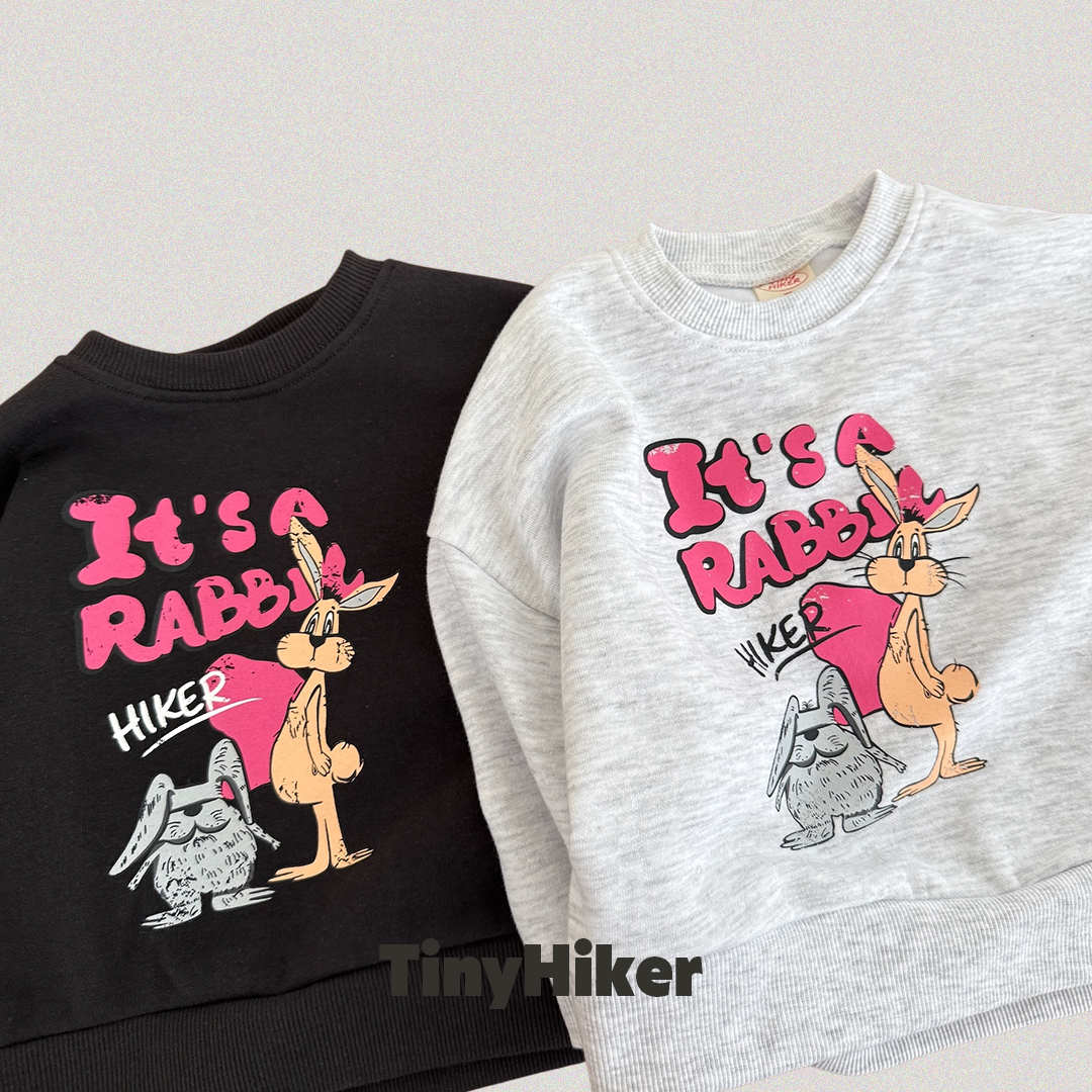 Tiny | It's Rabbit Sweatshirt