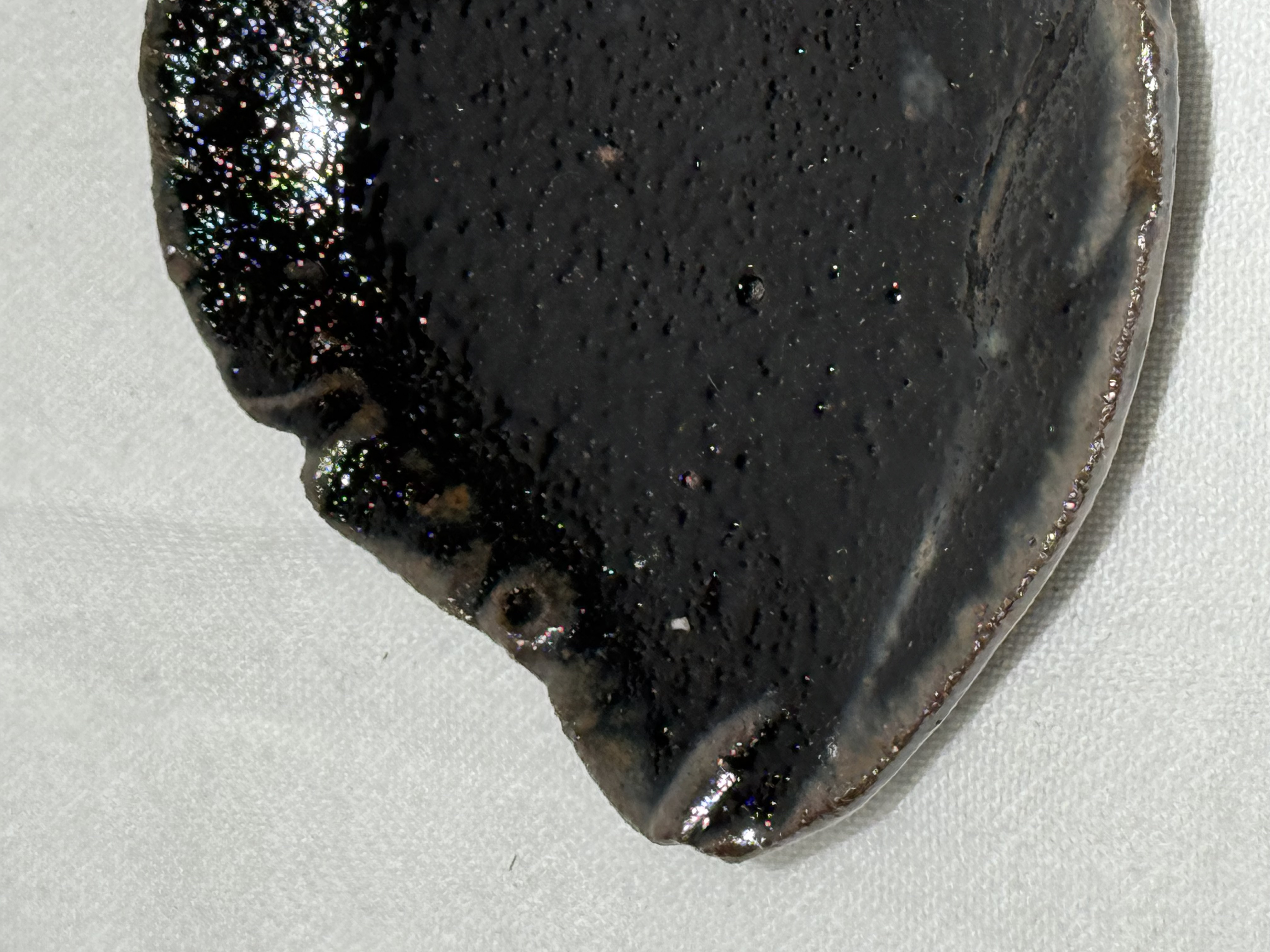 響庭孝昌 魚形 小碟