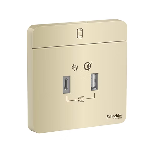 施耐德 AvatarOn 沉醉金 2位21W Type A+C USB充電 插座