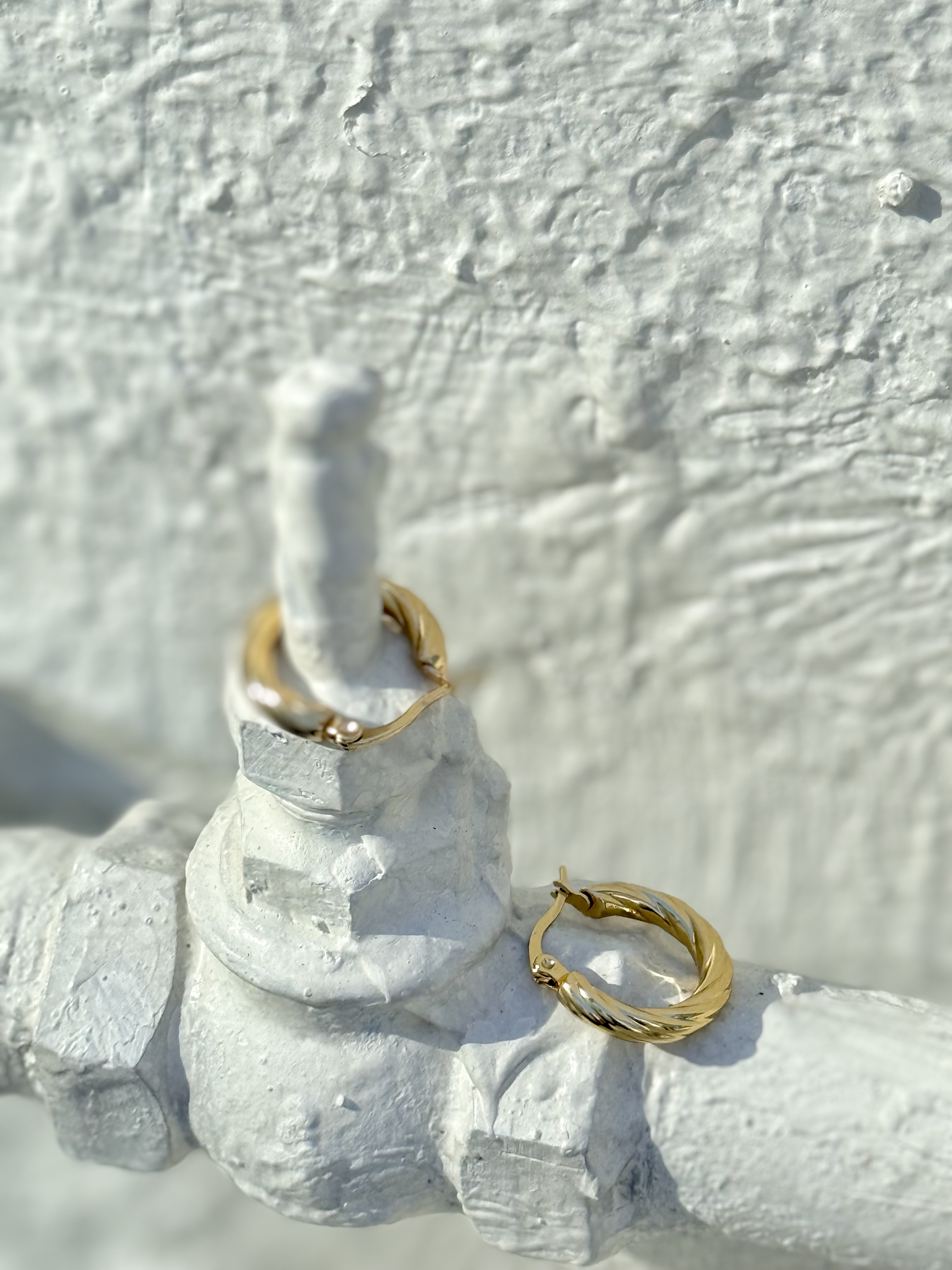 Gold circle stainless earring