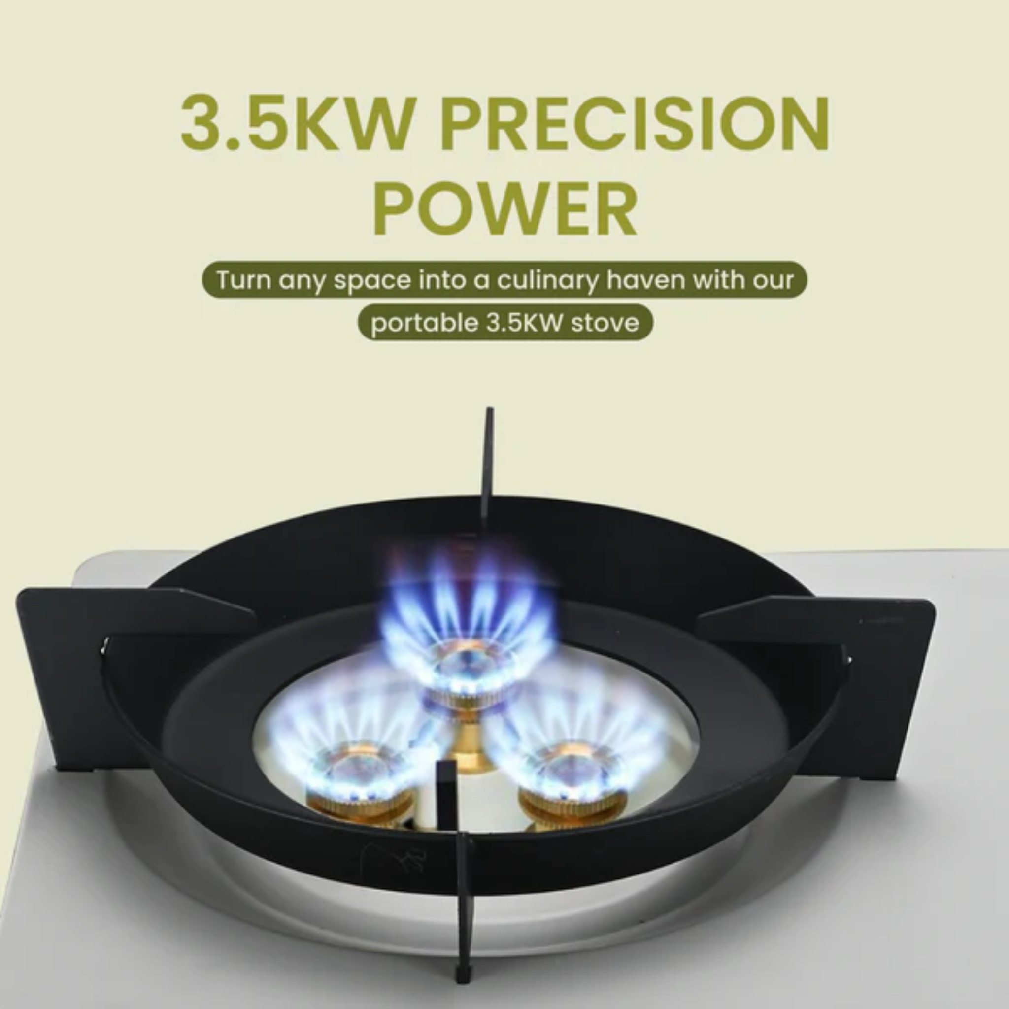 Russell Taylors Garment Steamer (GS2)