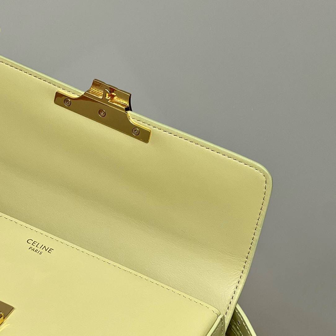 🔥大货实拍图 𝗖𝗘𝗟𝗜𝗡𝗘 ♥ 𝗧𝗥𝗜𝗢𝗠𝗣𝗛𝗘 𝗦𝗛𝗢𝗨𝗟𝗗𝗘𝗥 𝗕𝗔𝗚 型号：194143 尺寸：20*10*4cm