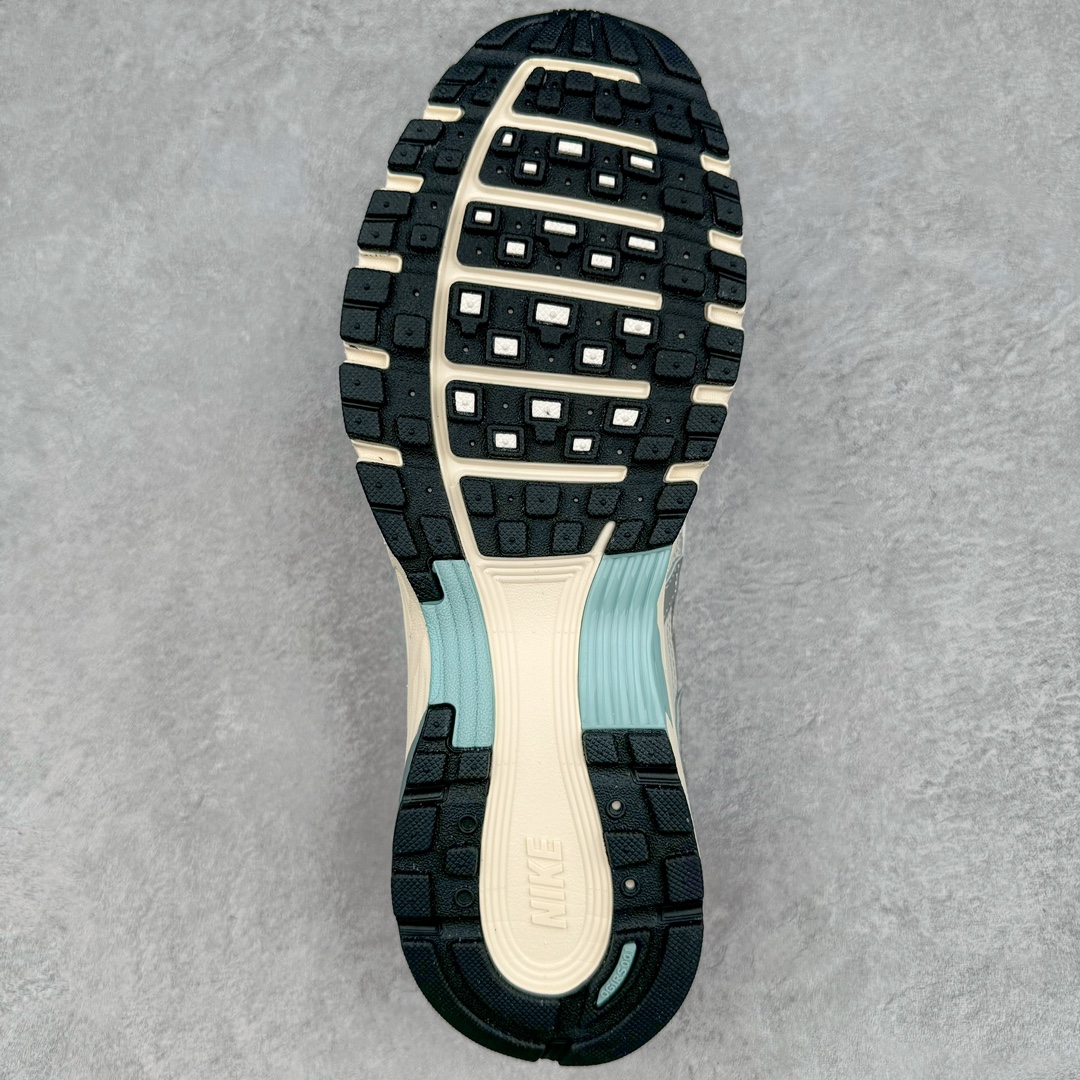 Nike P-6000 FN7509-029  